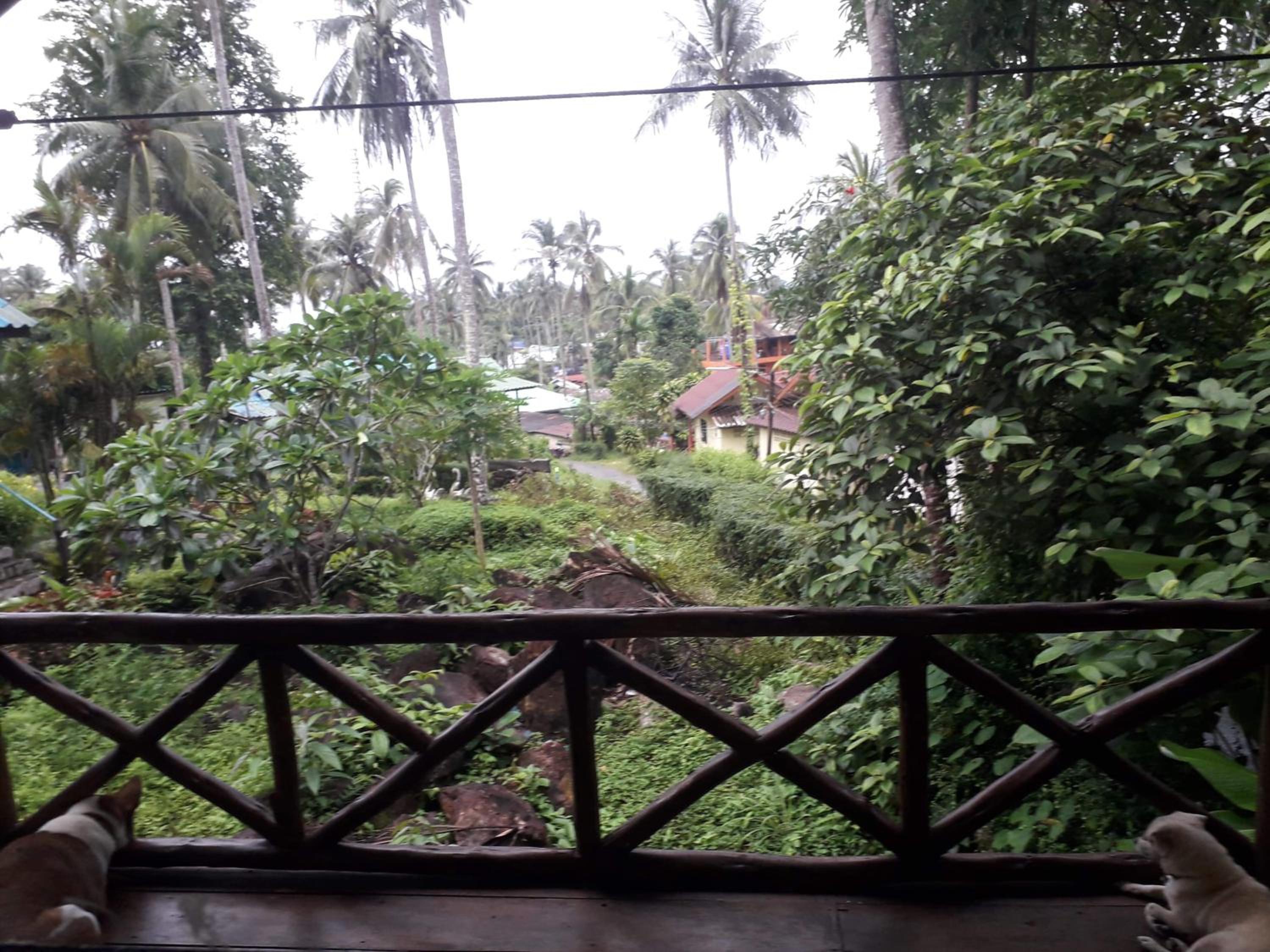 Double Room with Garden View
