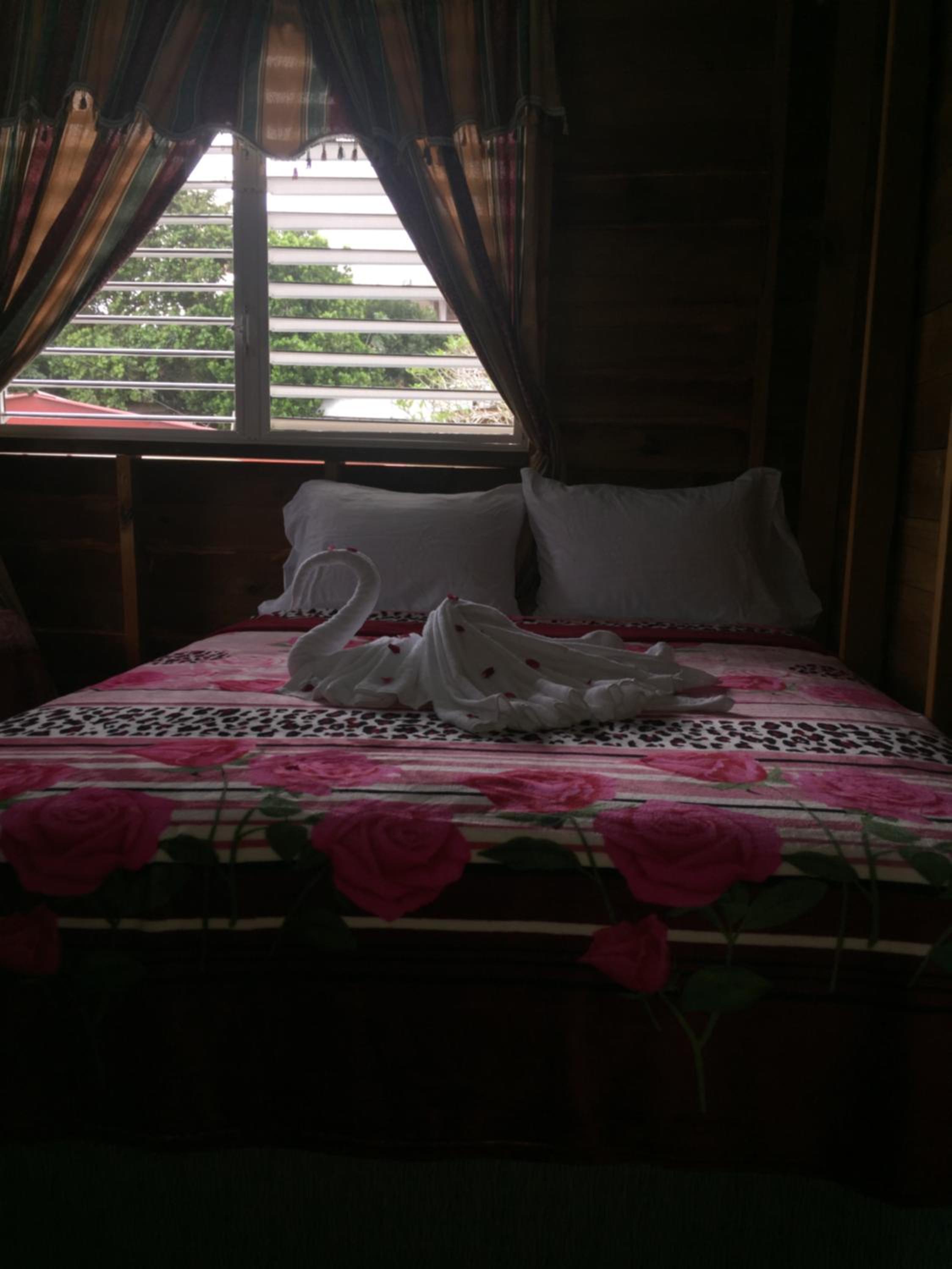 Double or Twin Room with View photo 2