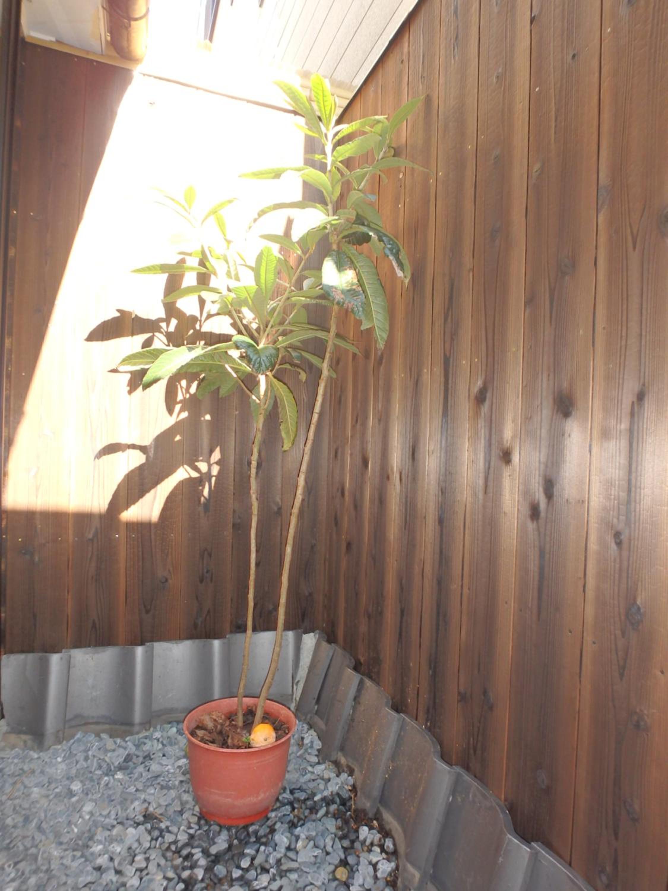 Standard Apartment - Photo 67