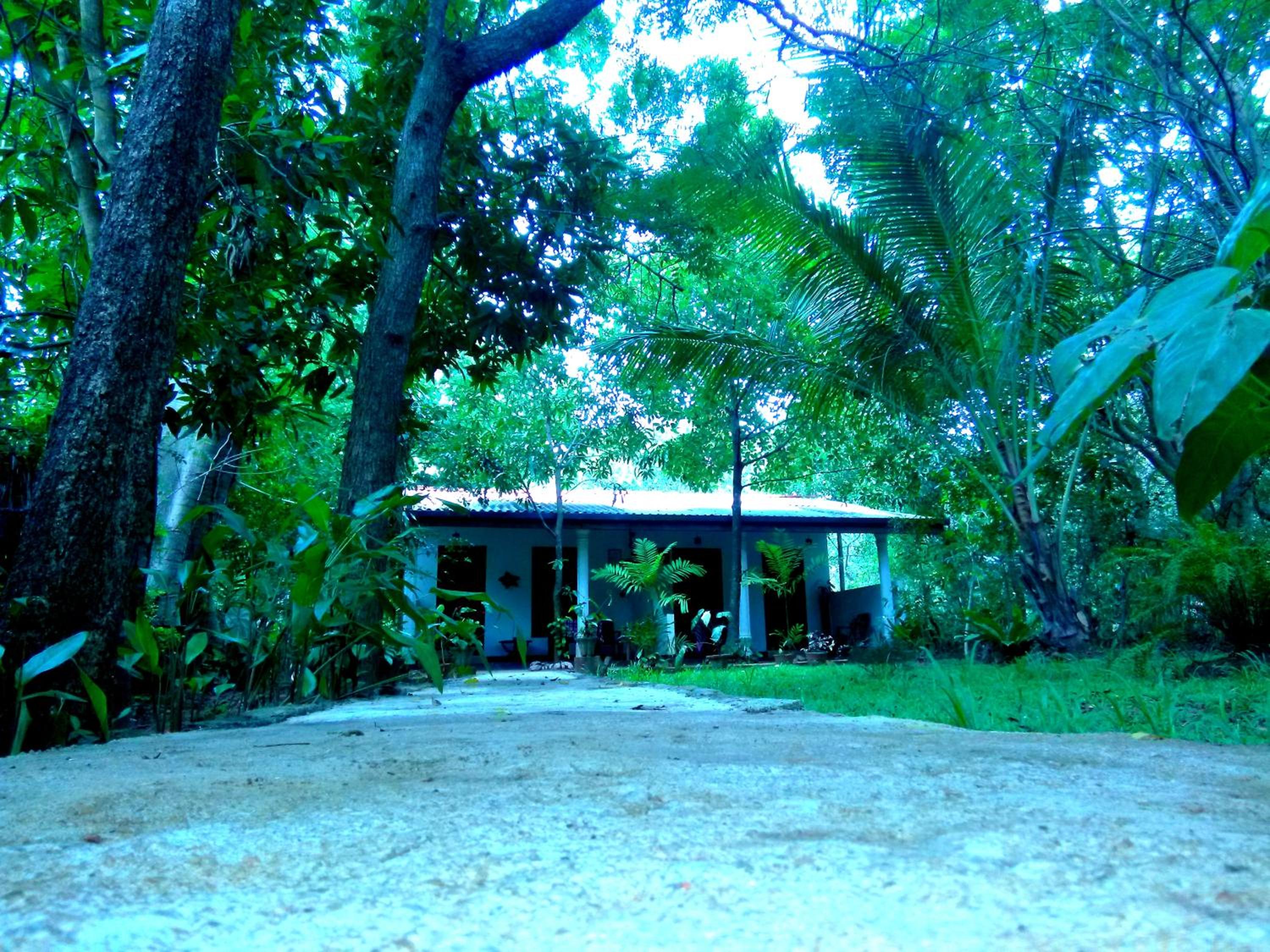 Double Room with Garden View photo 3