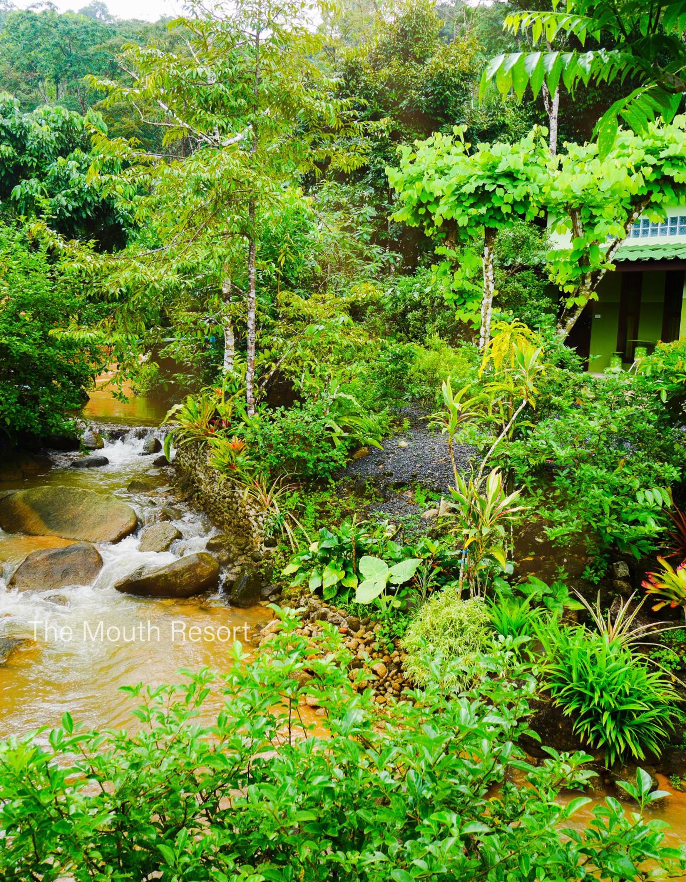 Bungalow - Photo 4
