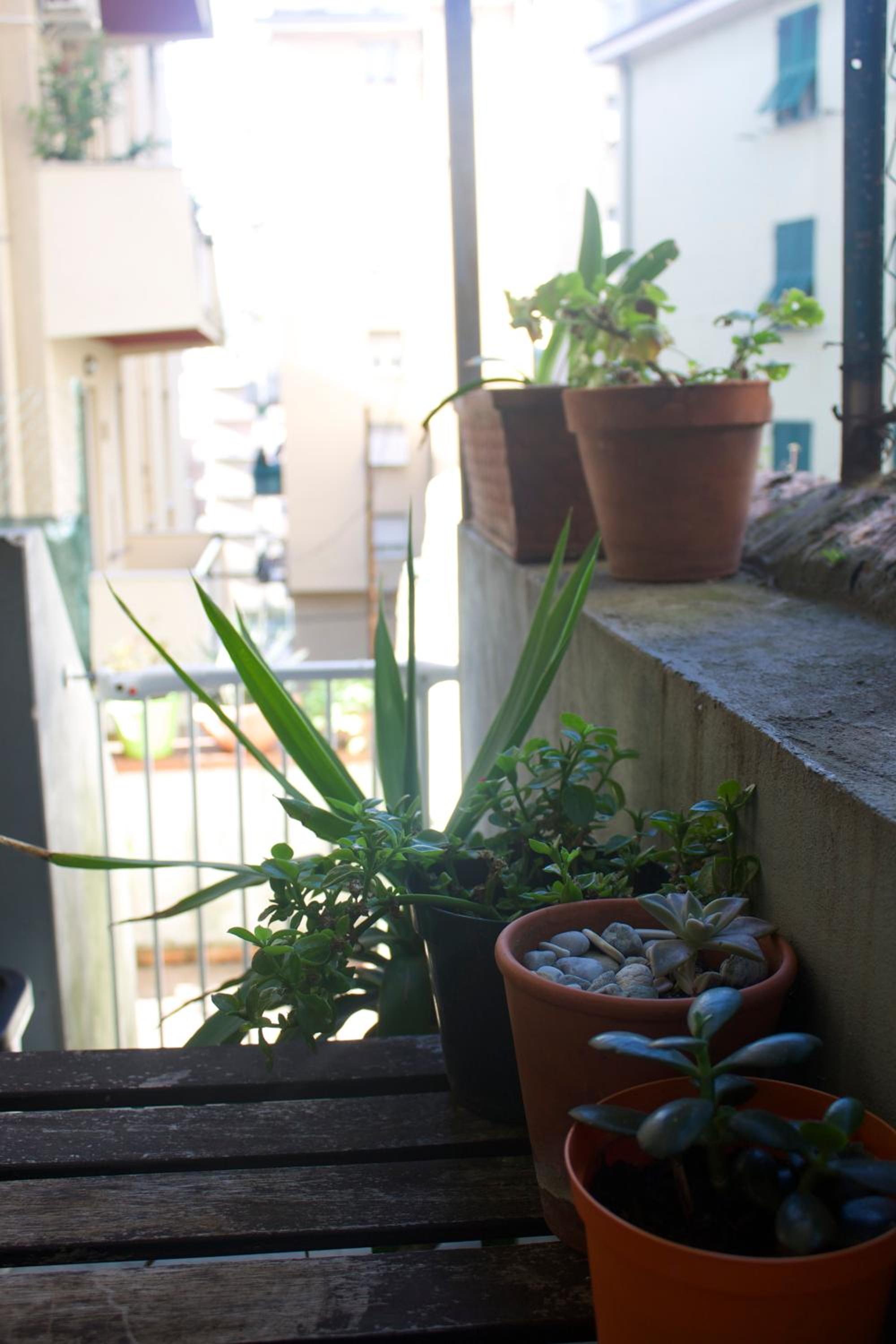 Apartment - Ground Floor - Photo 12