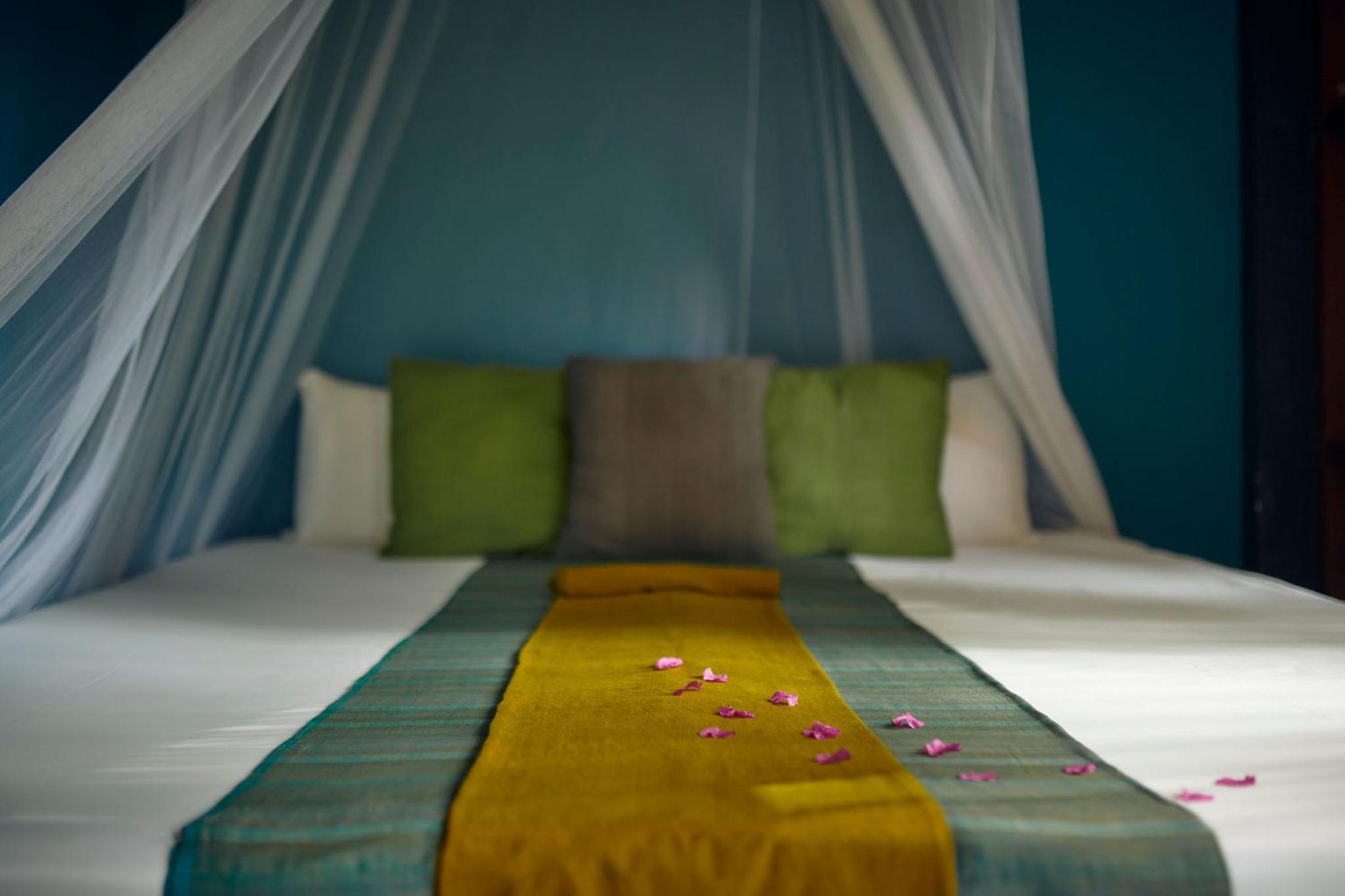 Deluxe Double or Twin Room photo 1