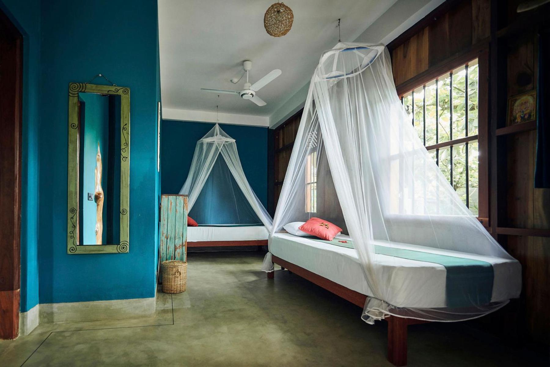 Deluxe Double or Twin Room photo 2