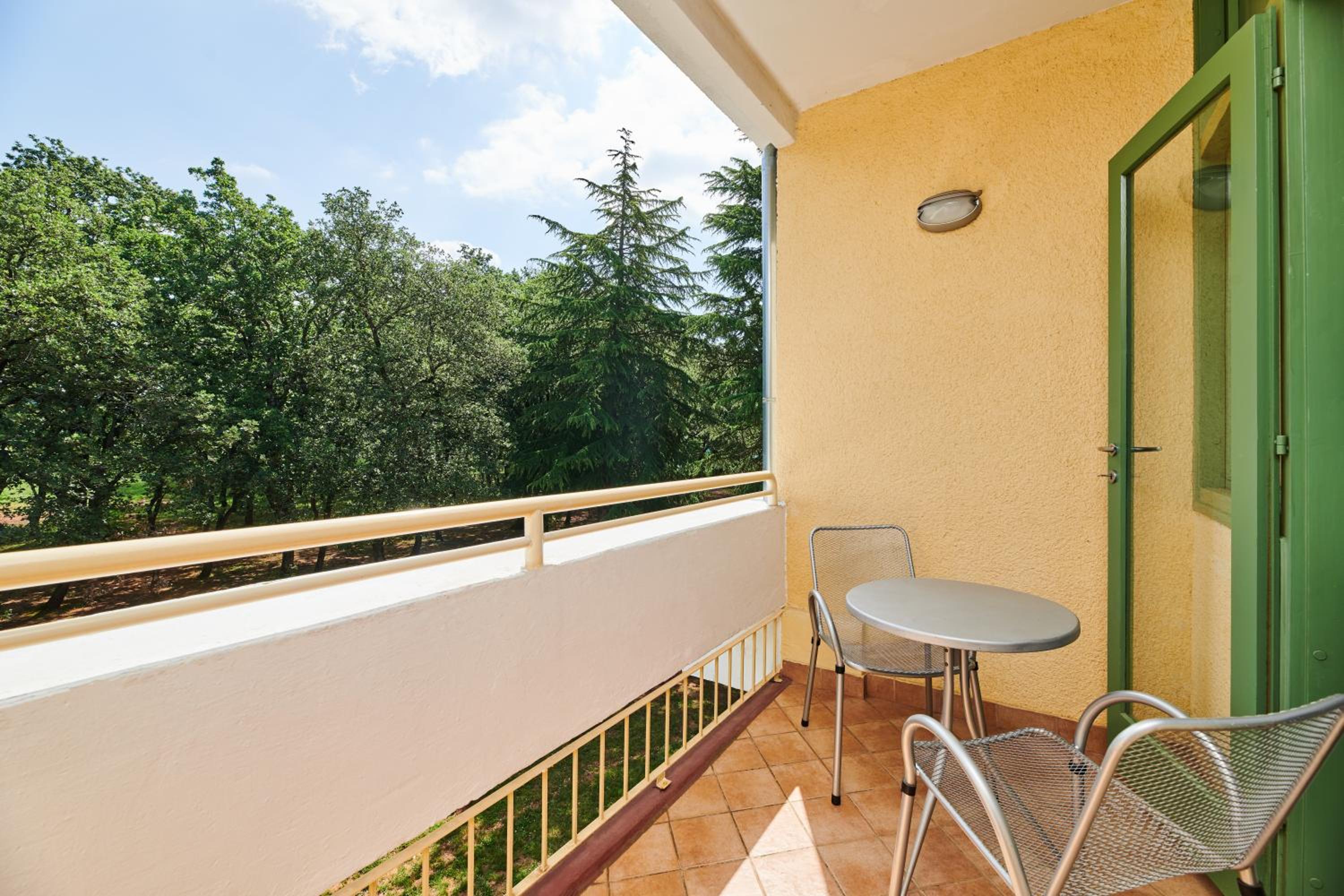 Superior Room with Balcony - Park Side - Photo 6
