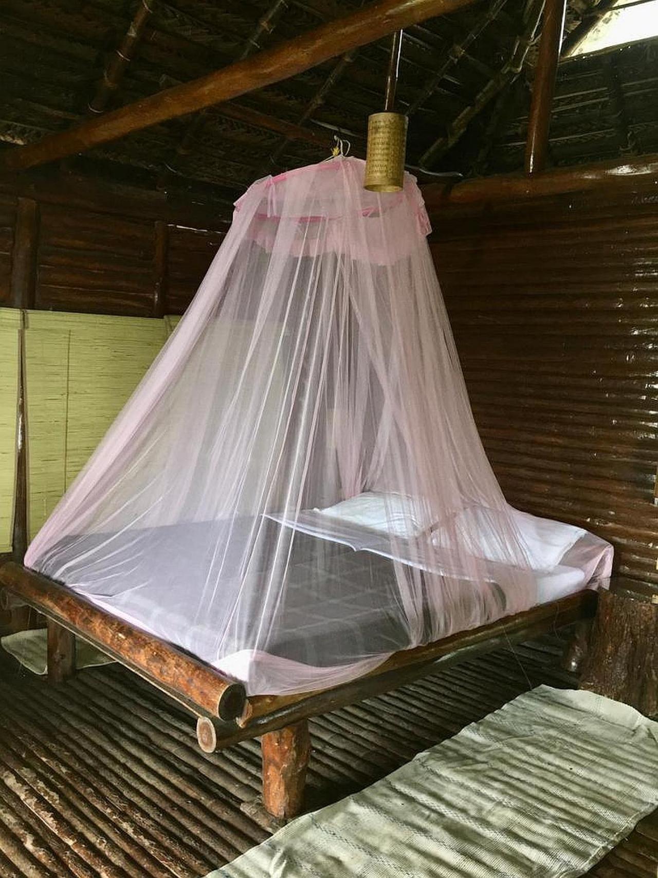 Minivet Treehouse photo 1