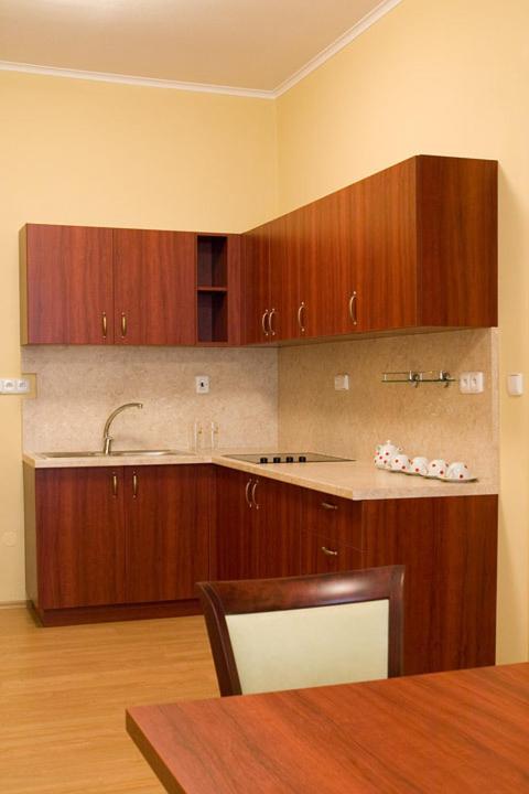Duplex Apartment photo 2