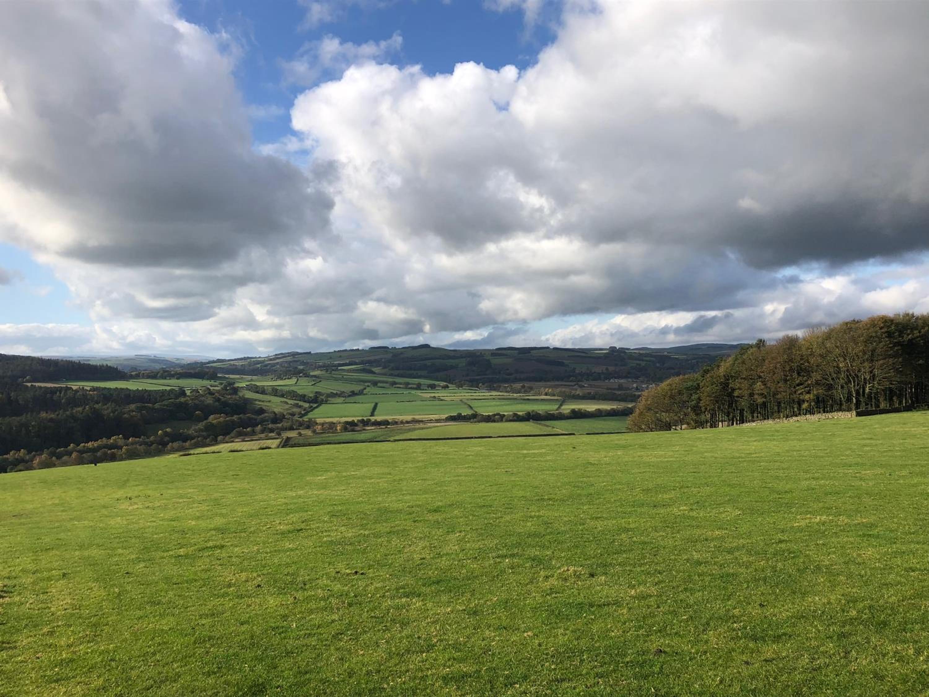 King Room with Garden View - Photo 5