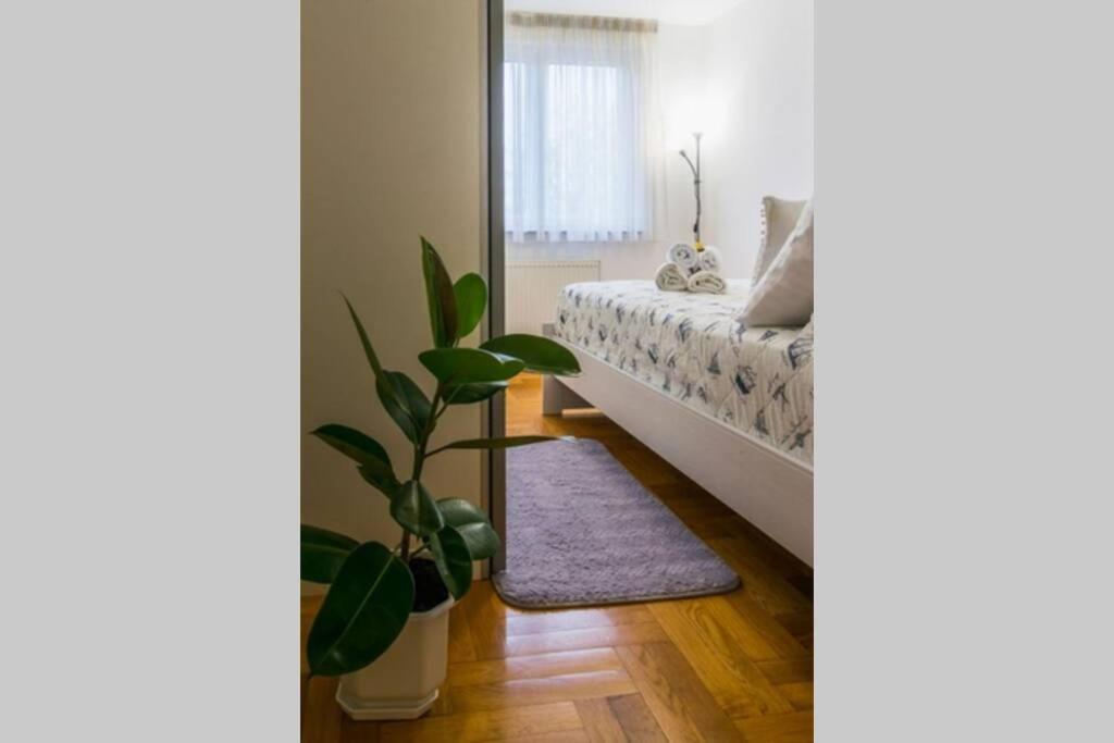 One-Bedroom Apartment - Photo 7