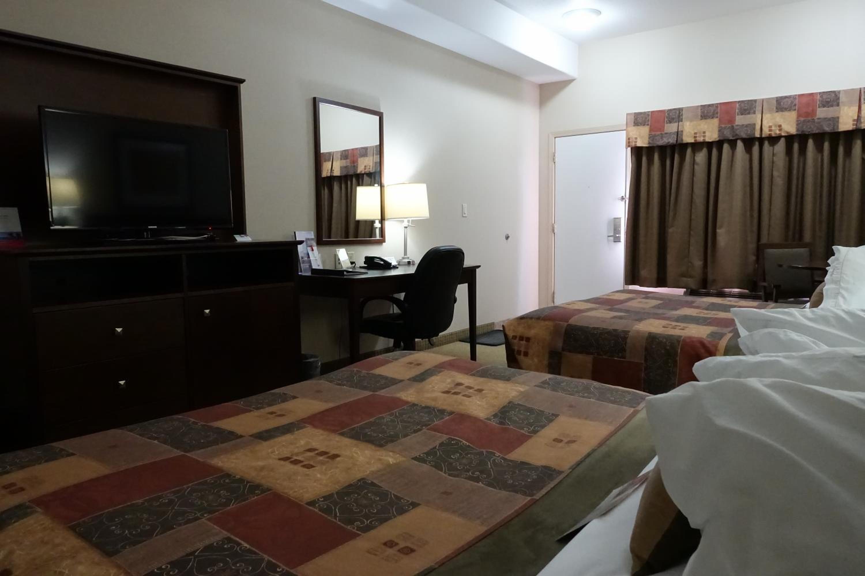 Queen Efficiency Pet-Friendly Studio with Two Queen Beds - Non-Smoking - Photo 2