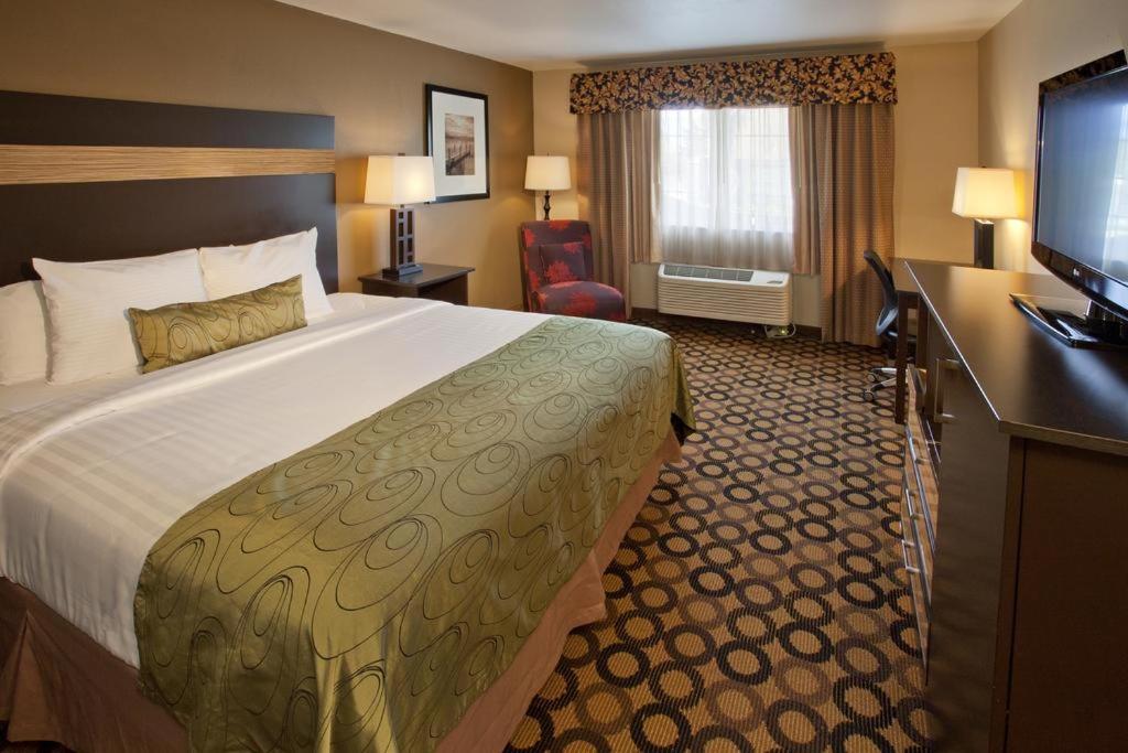 King Room - Photo 2