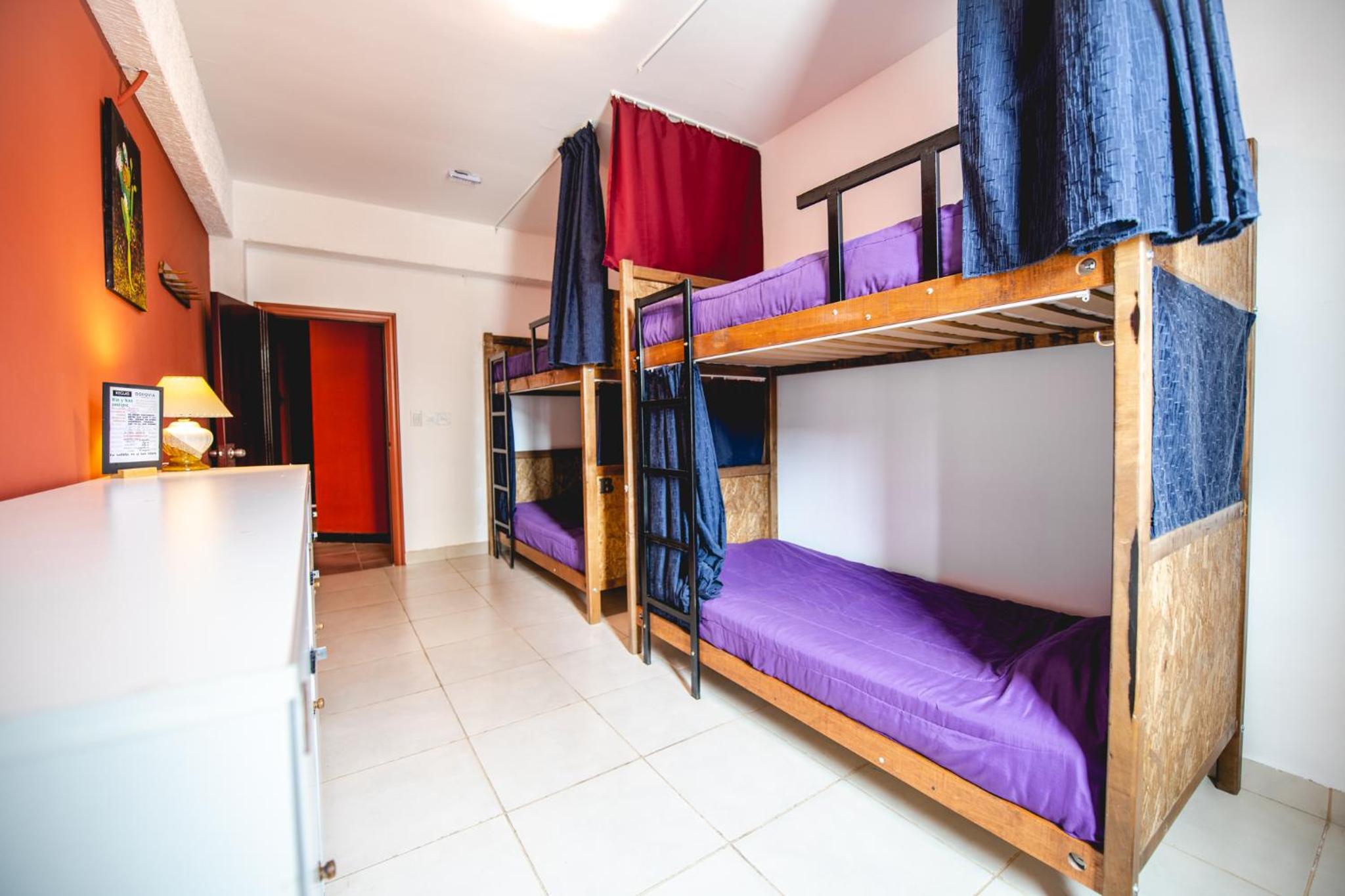 Bed in 4-Bed Mixed Dormitory Room