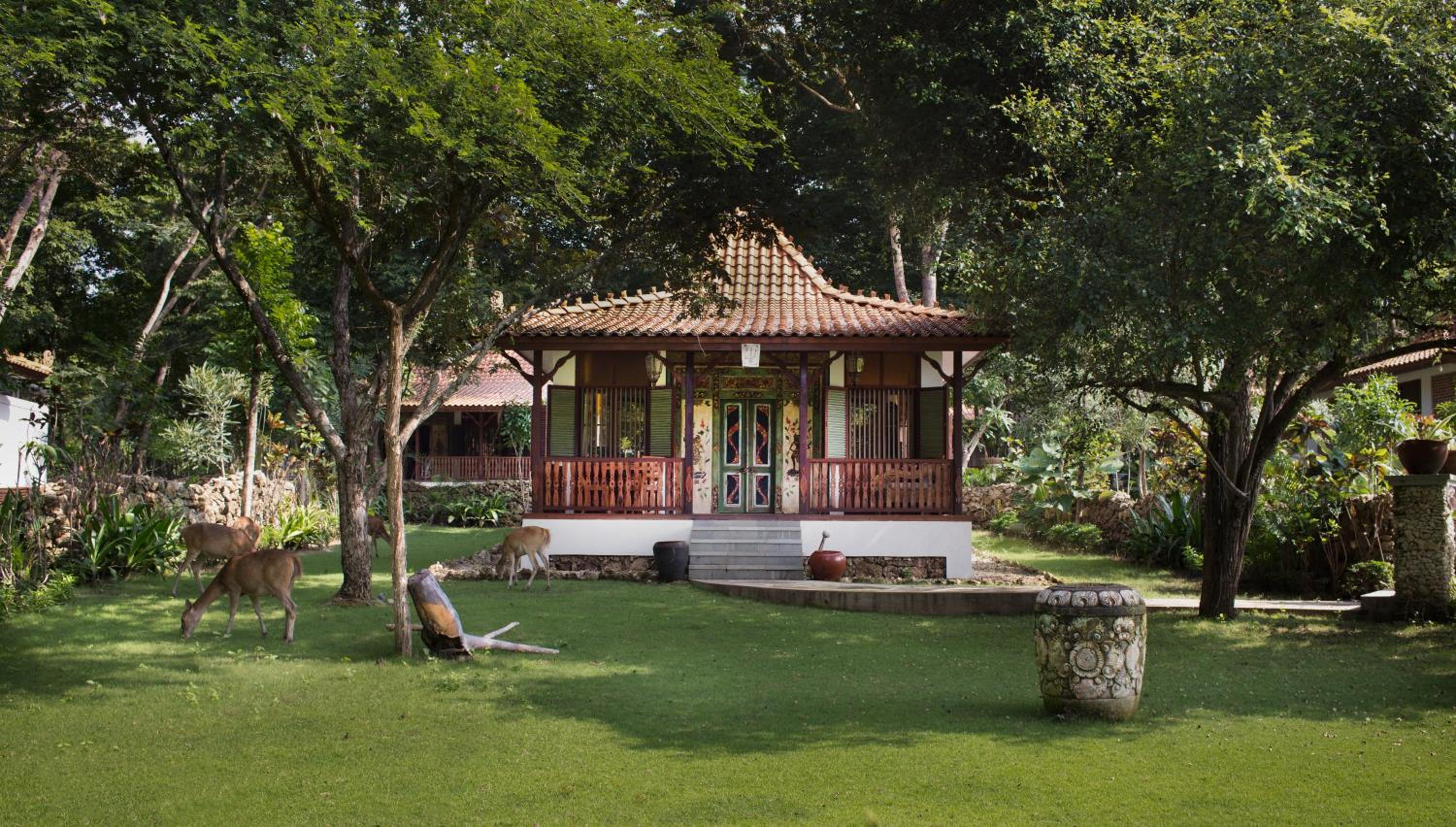 Room Only – One Bedroom Forest Villa - Photo 3