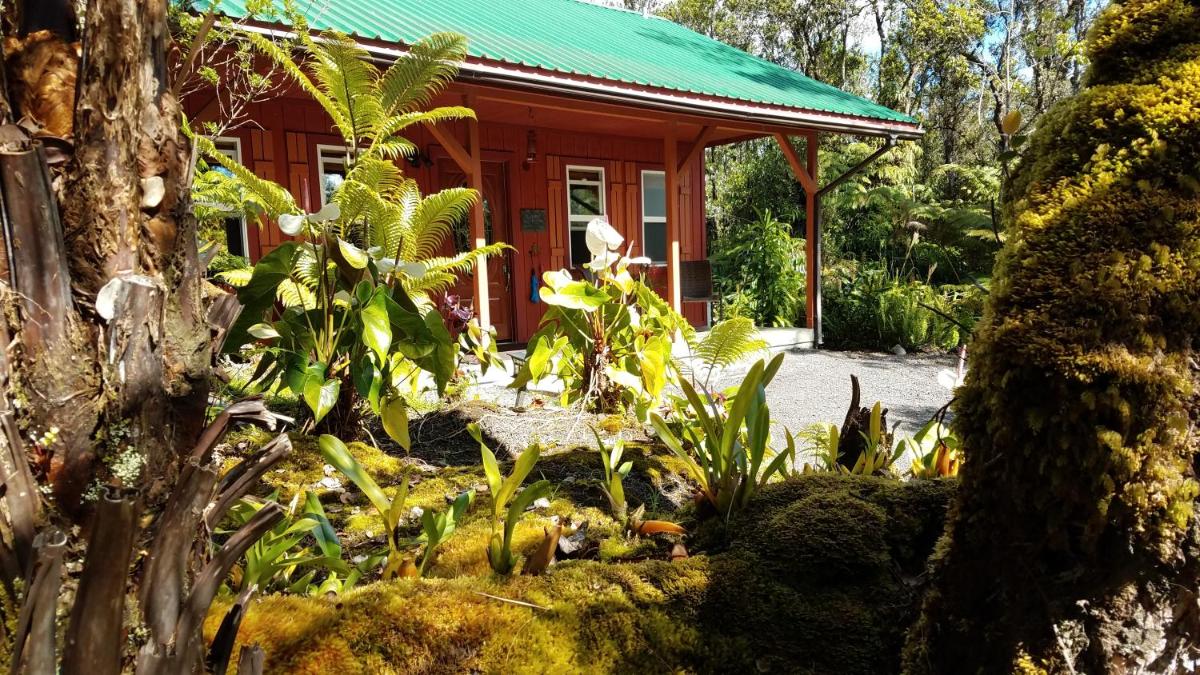 Studio with Garden View photo 2