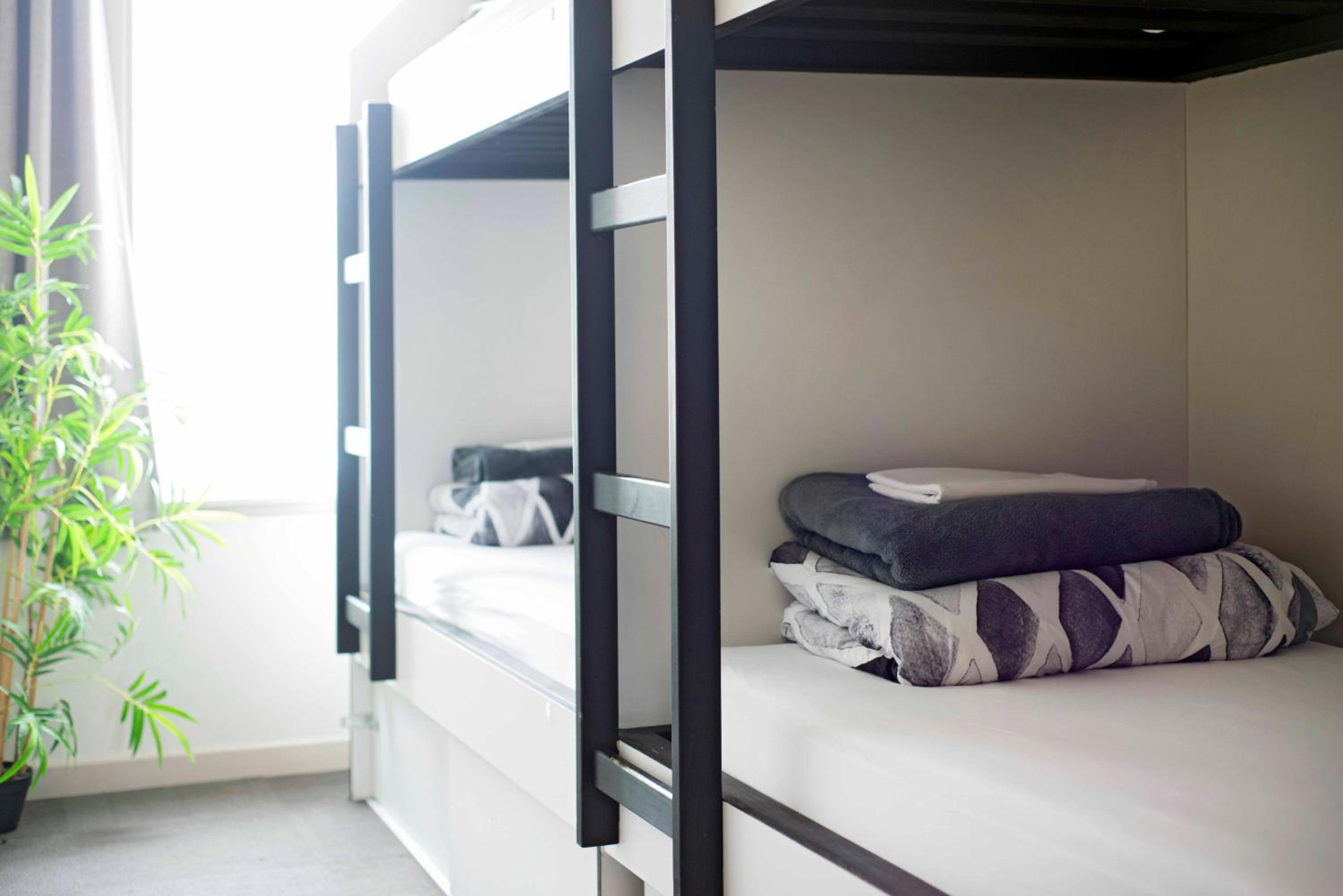 Bunk Bed in Mixed Dormitory Room photo 1