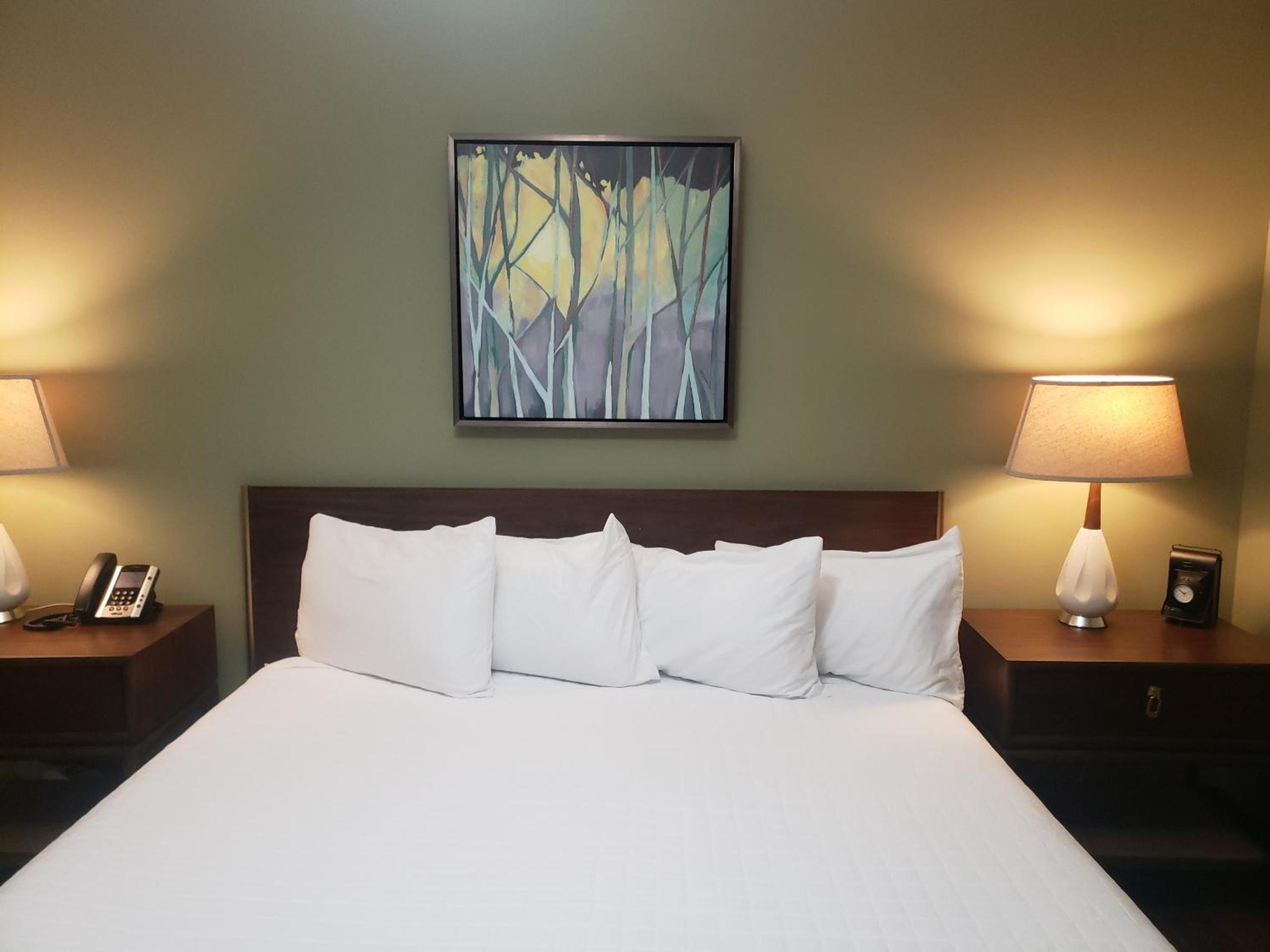 King Room with Garden View