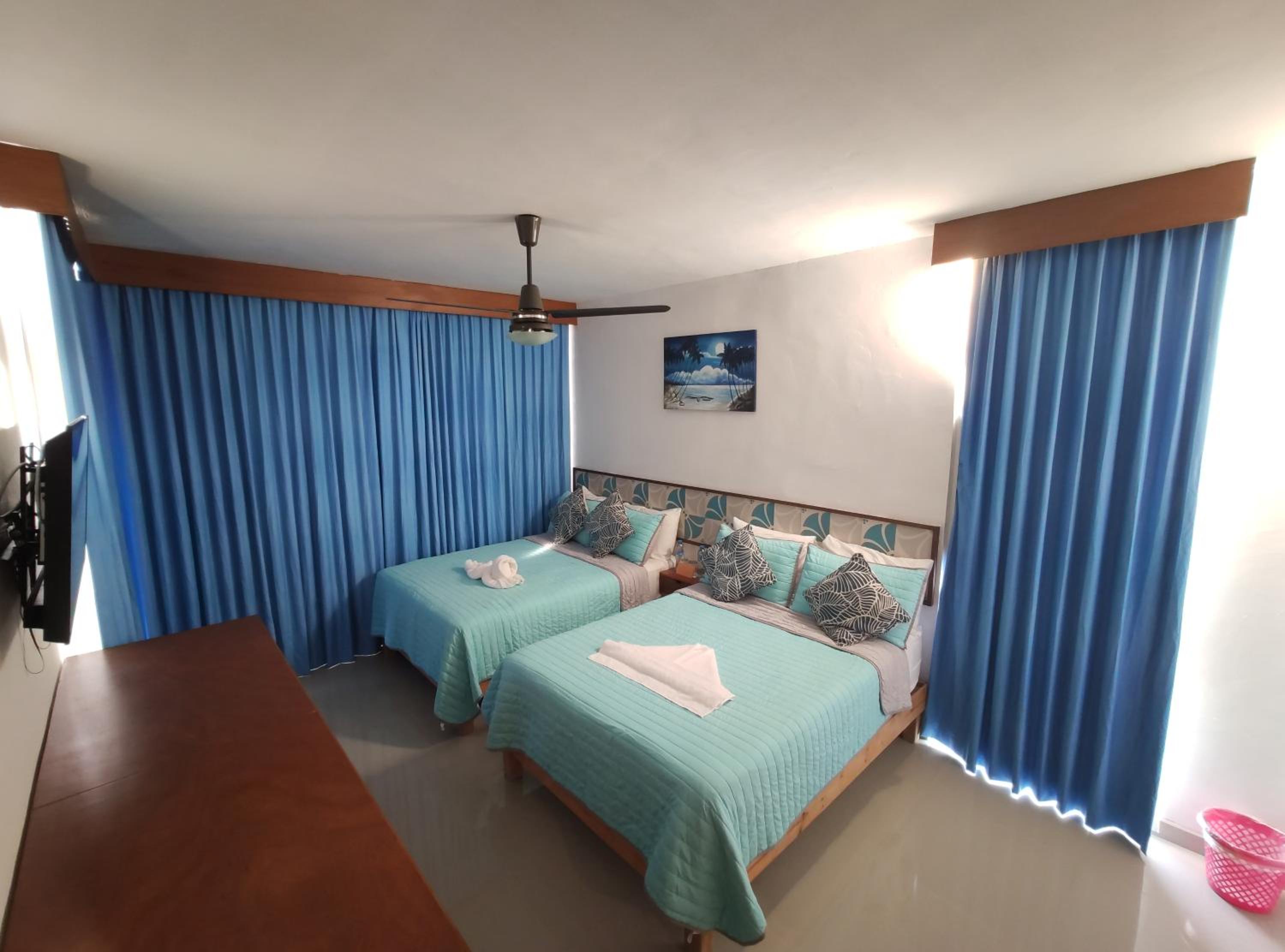 Twin Room photo 2