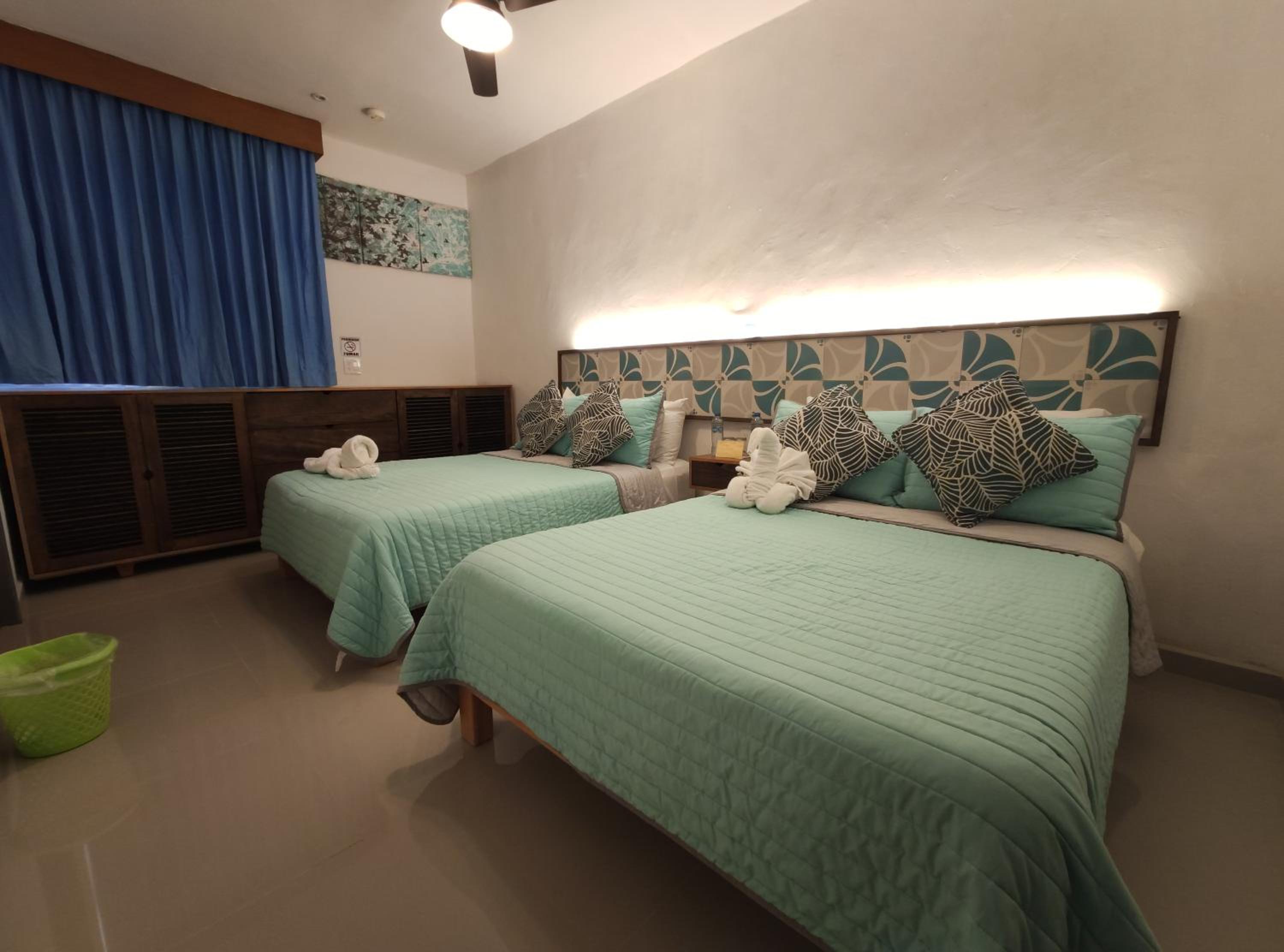 Twin Room photo 3