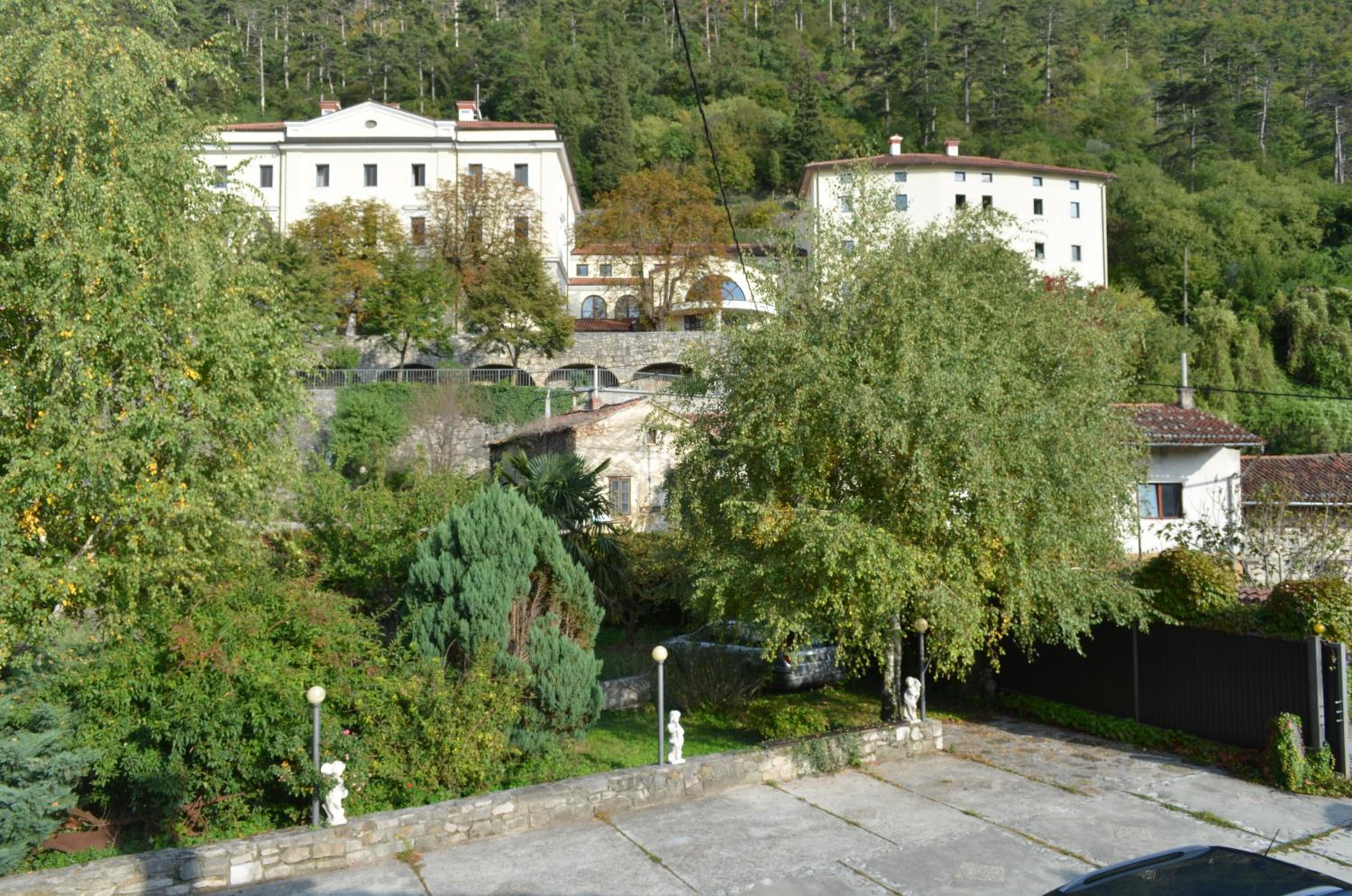 Apartment with Terrace photo 3