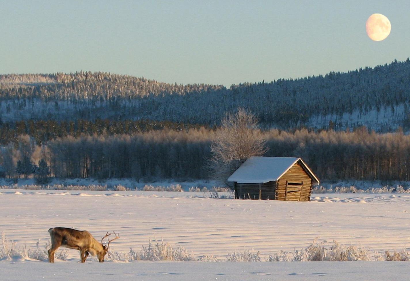 Cottage - Photo 27