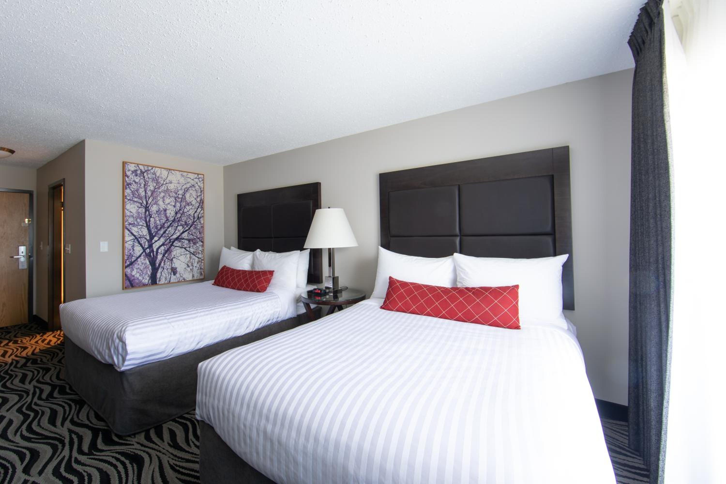 Queen Room with Two Queen Beds and Work Desk - Second Floor/No Pets Allowed/Non-Smoking - Photo 10
