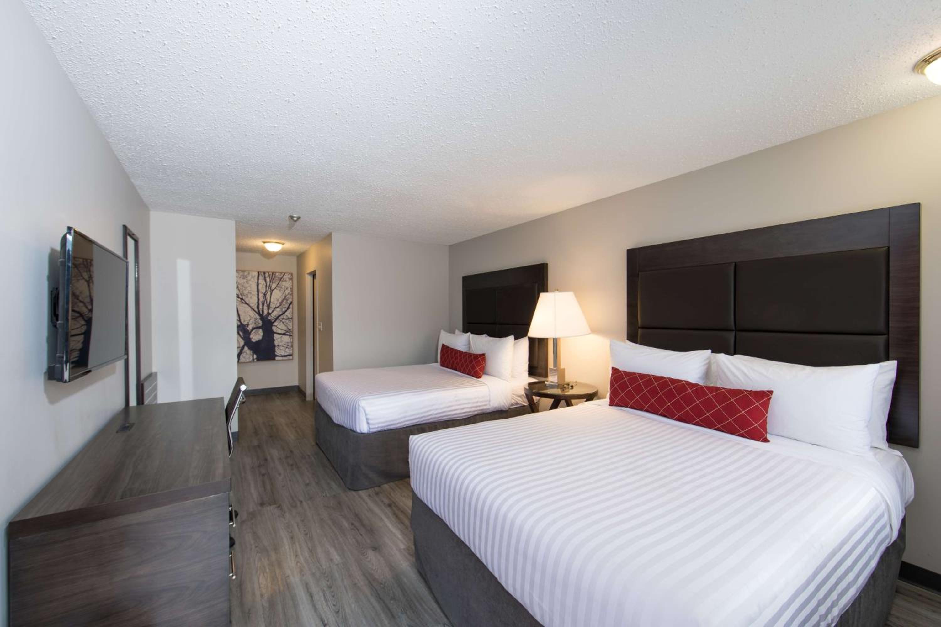 Queen Room with Two Queen Beds and Kitchenette - Pet Friendly/Ground Floor/Non-Smoking - Photo 5