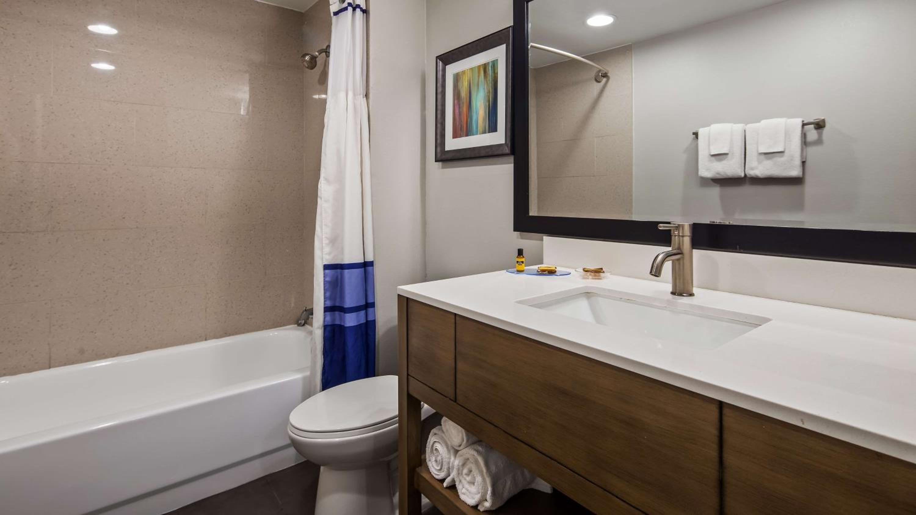 King Suite - Photo 4