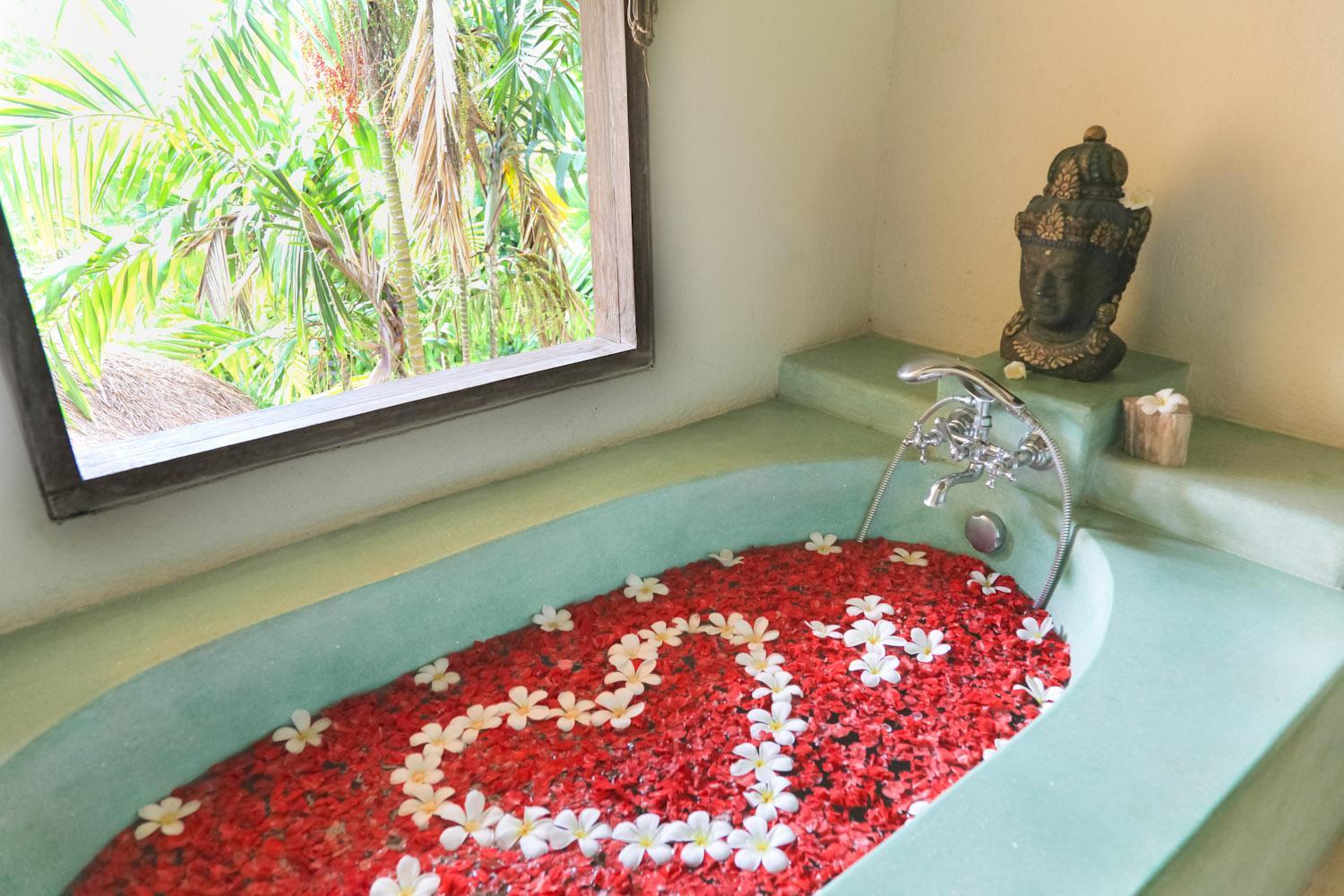 Ricefields Suite