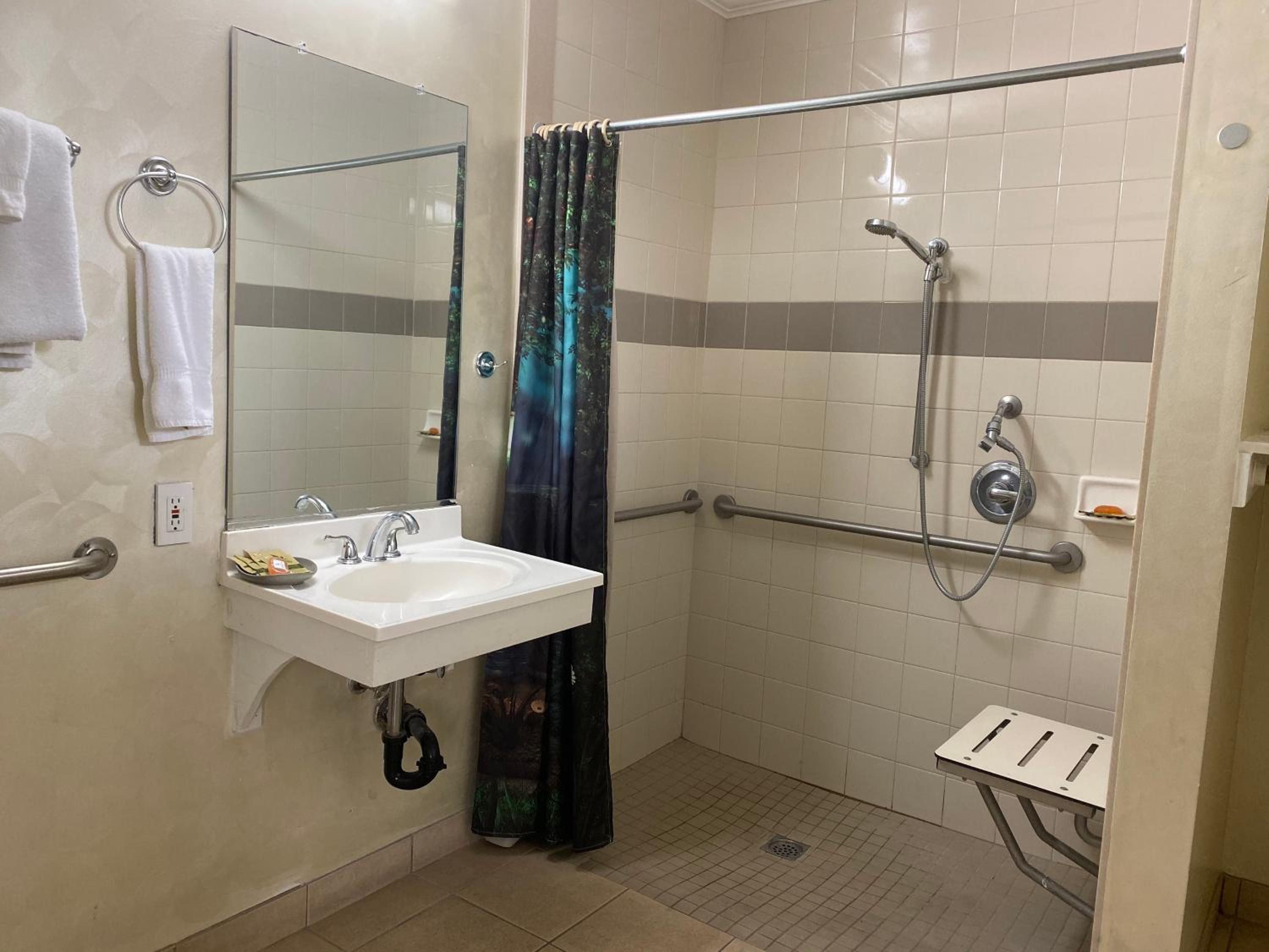 Double Room - Disability Access photo 3