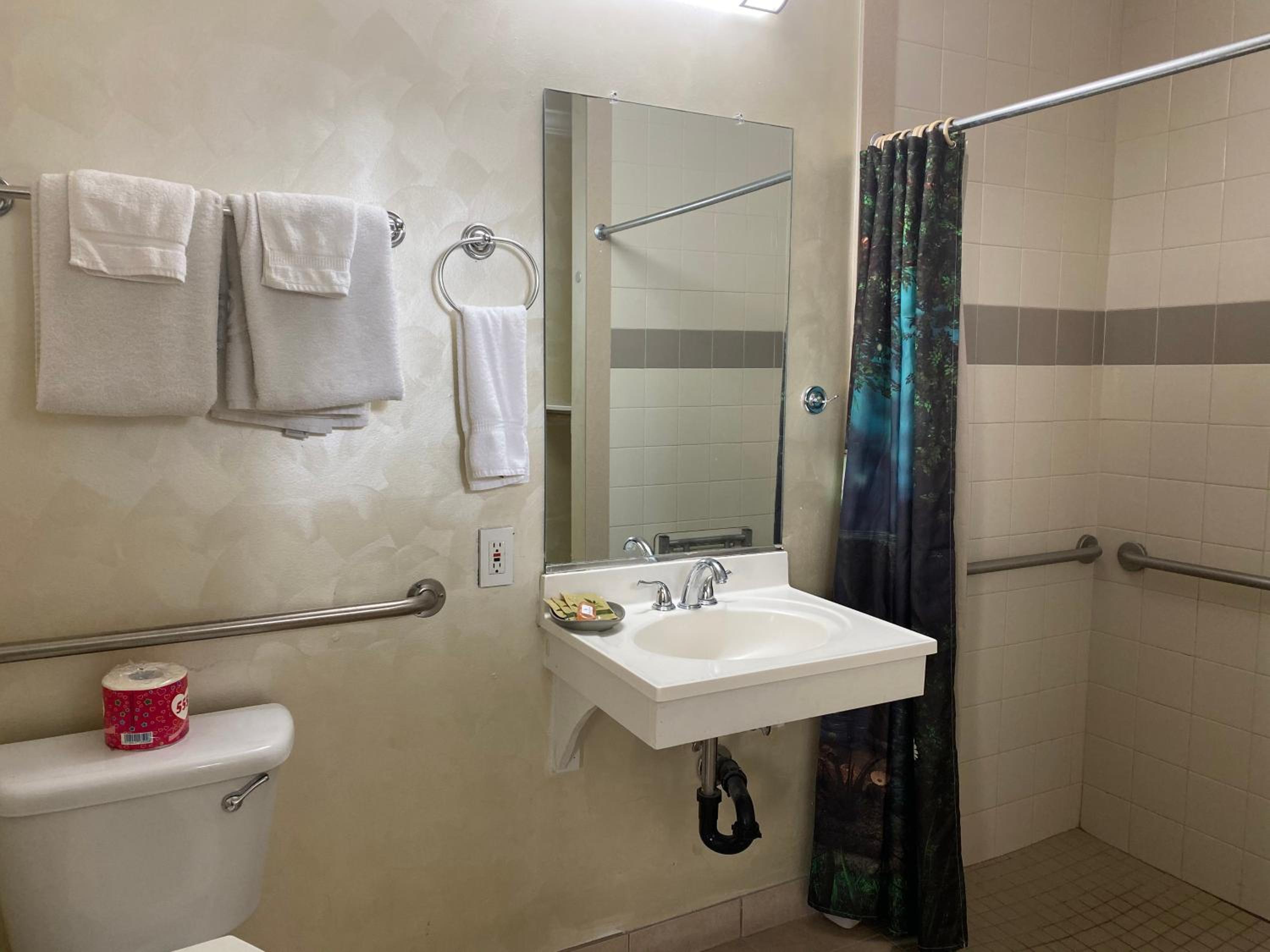 Double Room - Disability Access photo 2