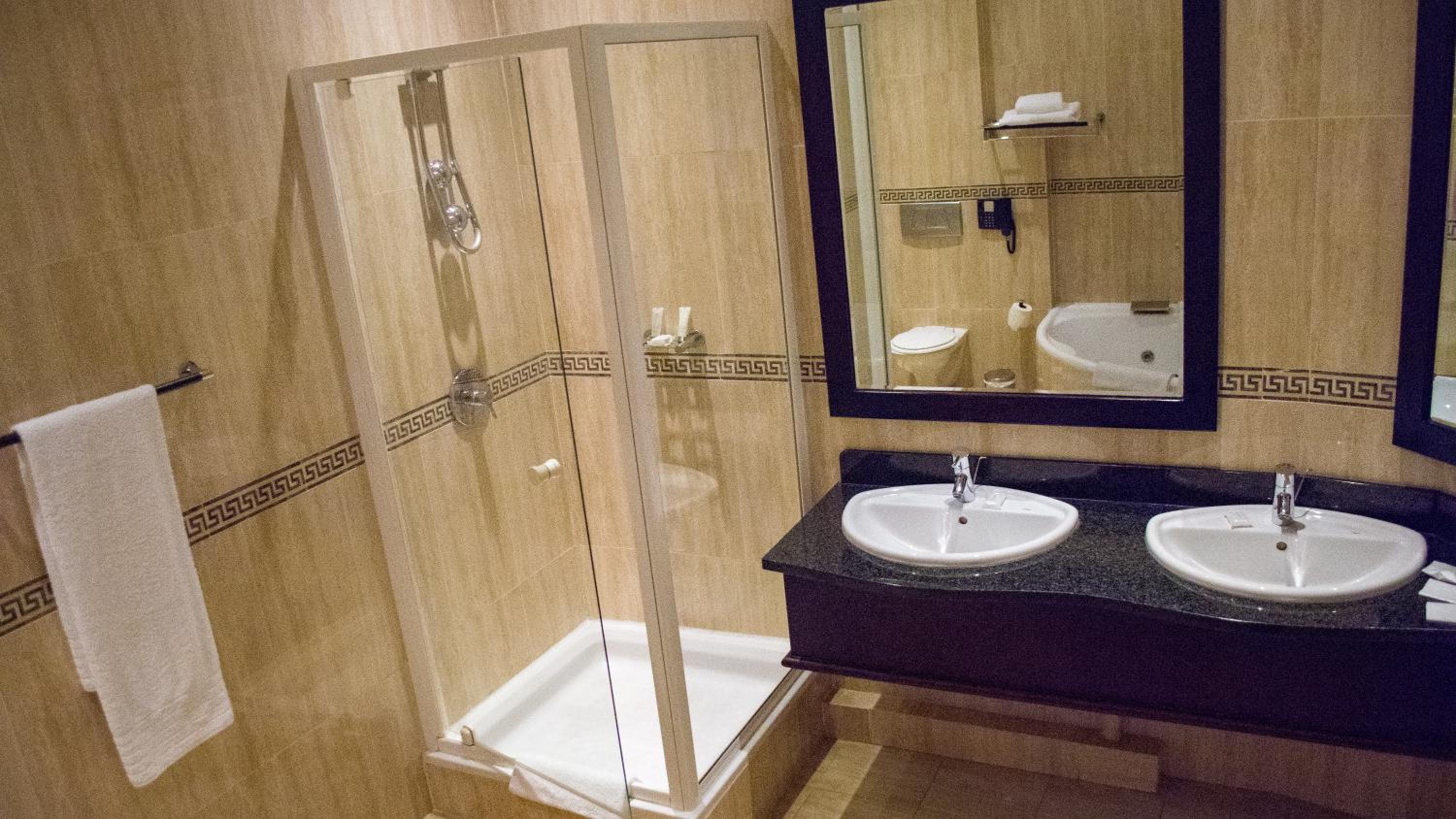 Executive Room with Twin Beds photo 3