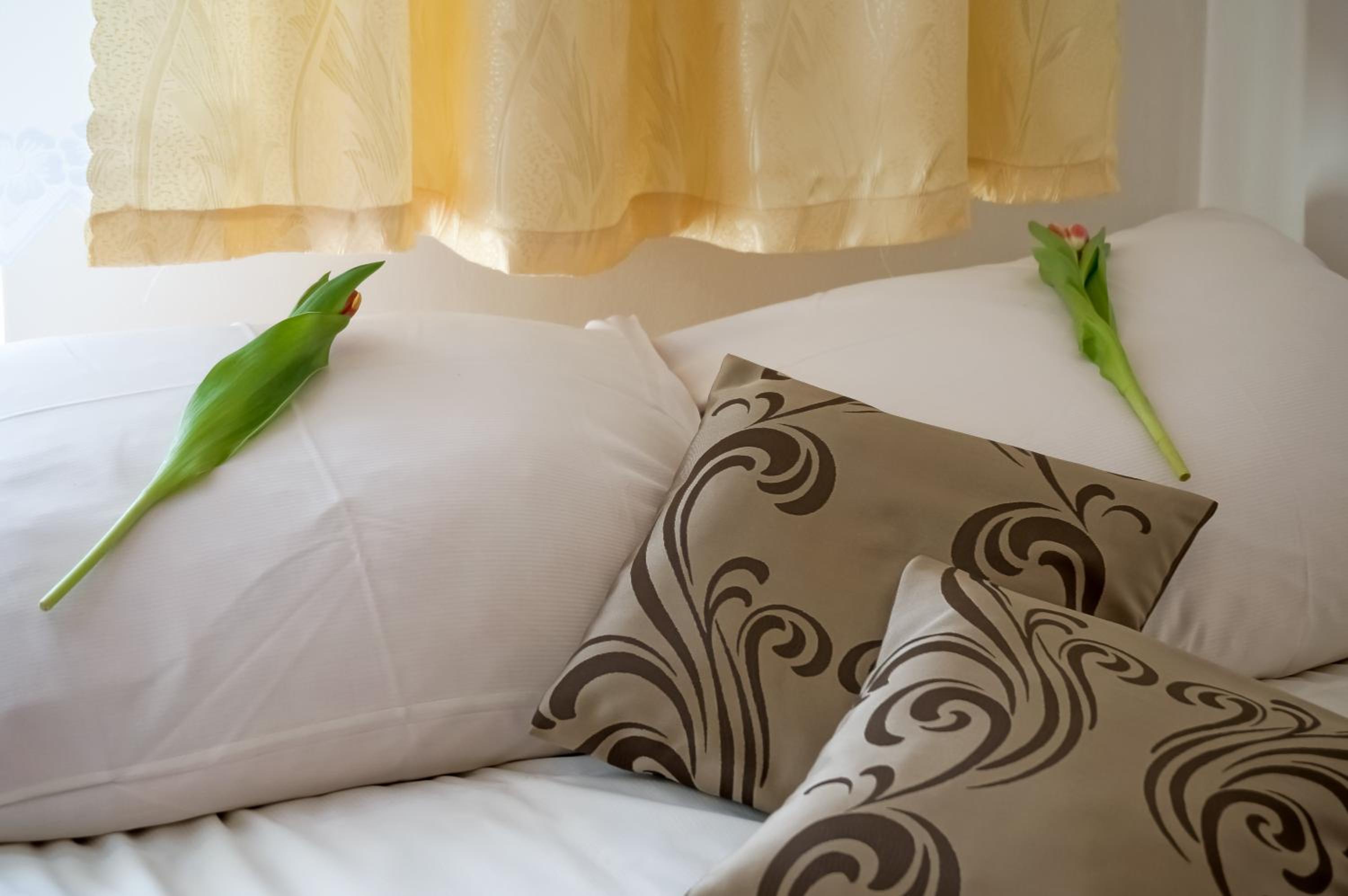 Double or Twin Room photo 2