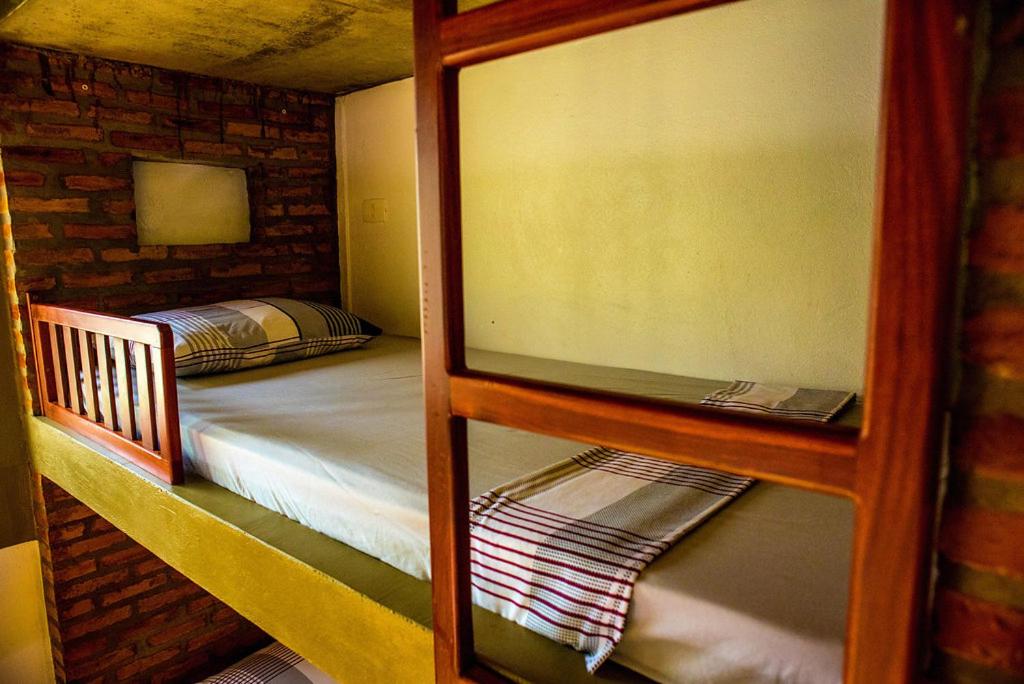 Bunk Bed in Male Dormitory Room  photo 1