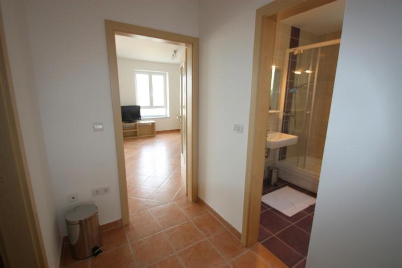 Apartment with Terrace photo 3