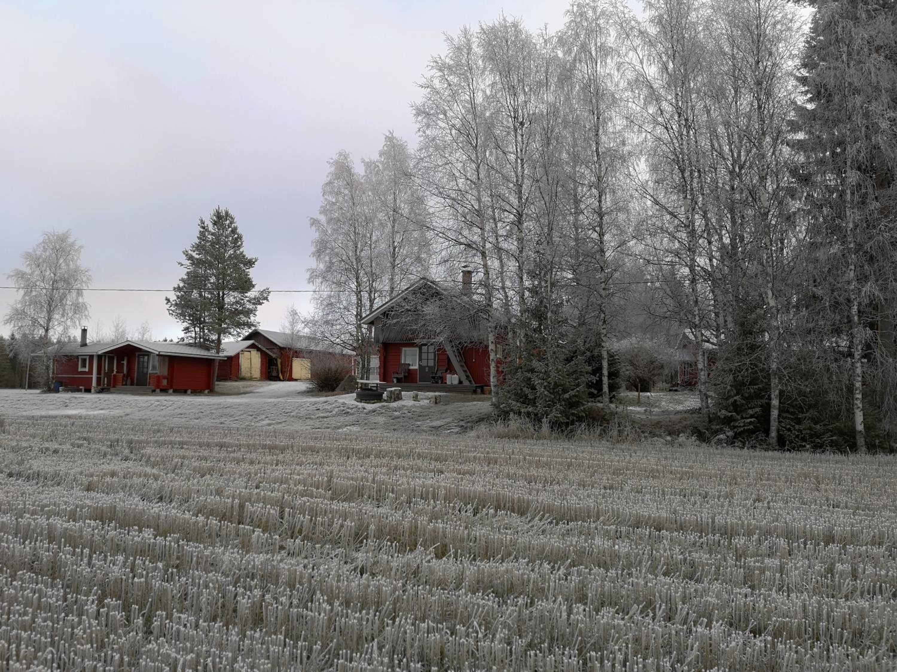 One-Bedroom Cottage with Sauna - Photo 15