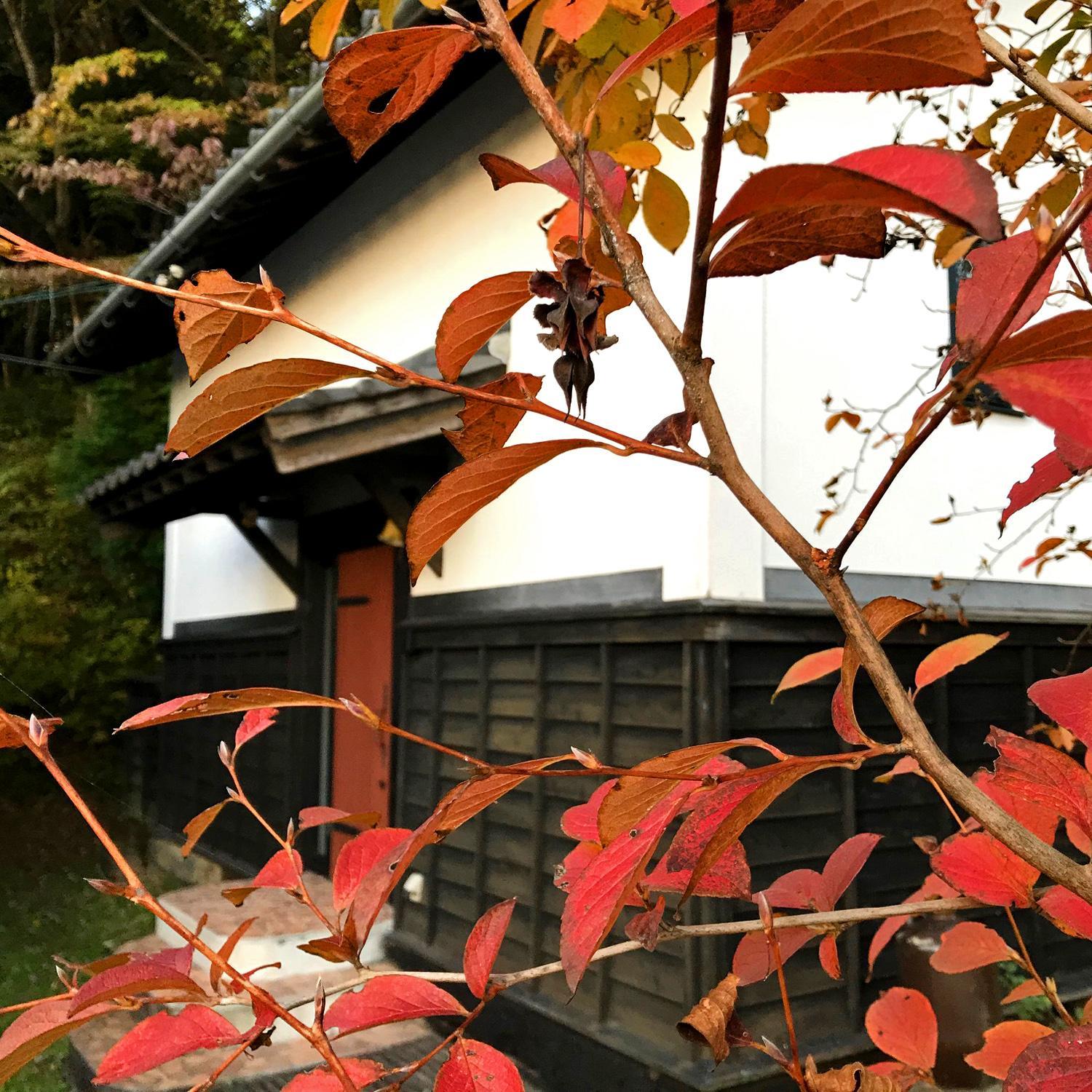 Superior Villa - Photo 2