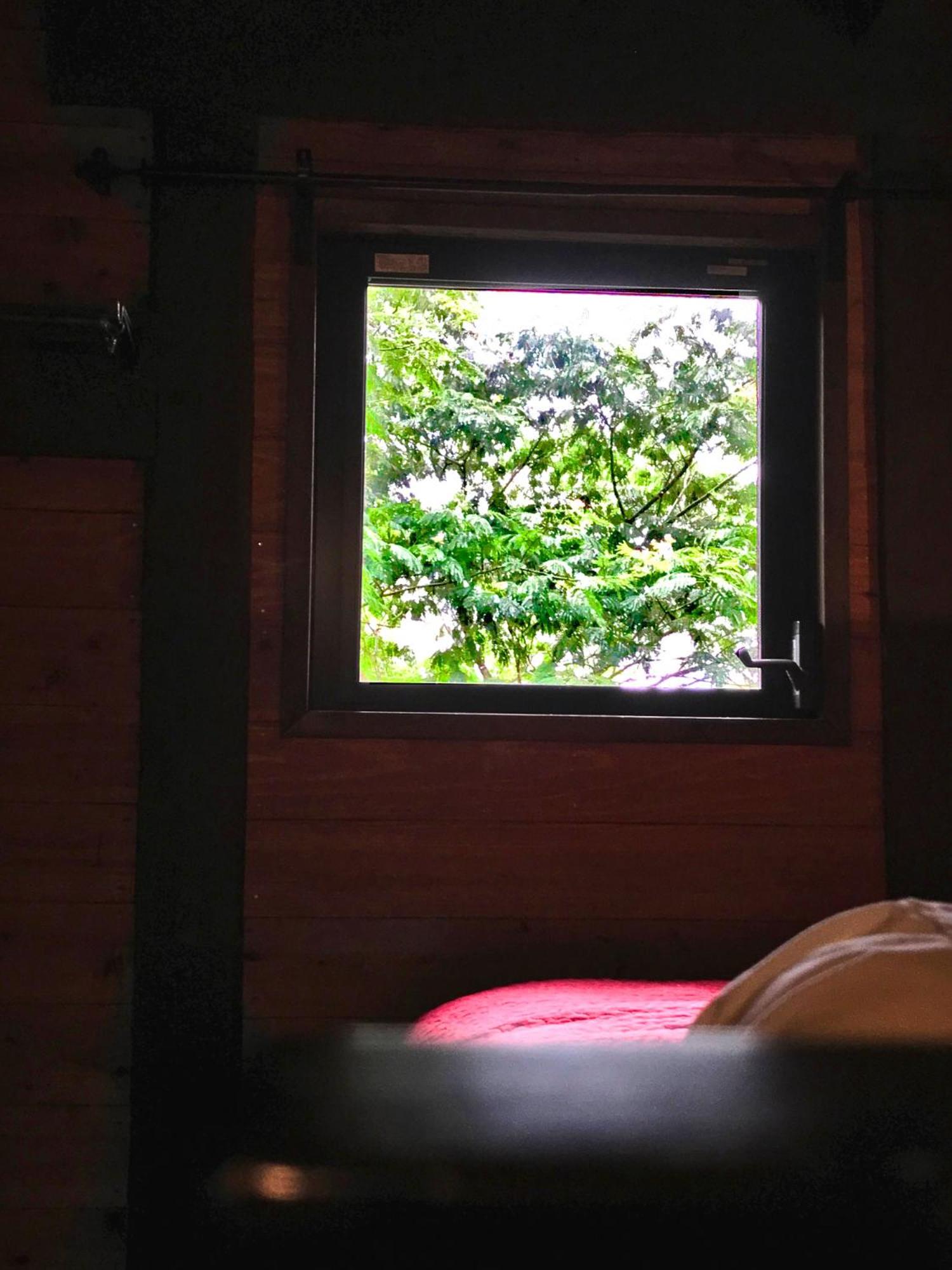 Superior Villa - Photo 3