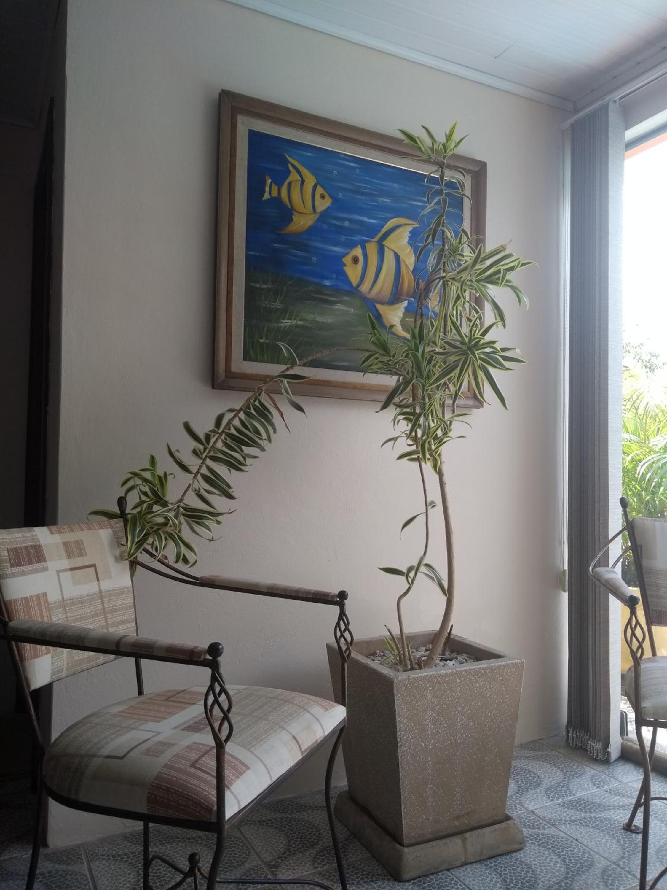 Apartment photo 2