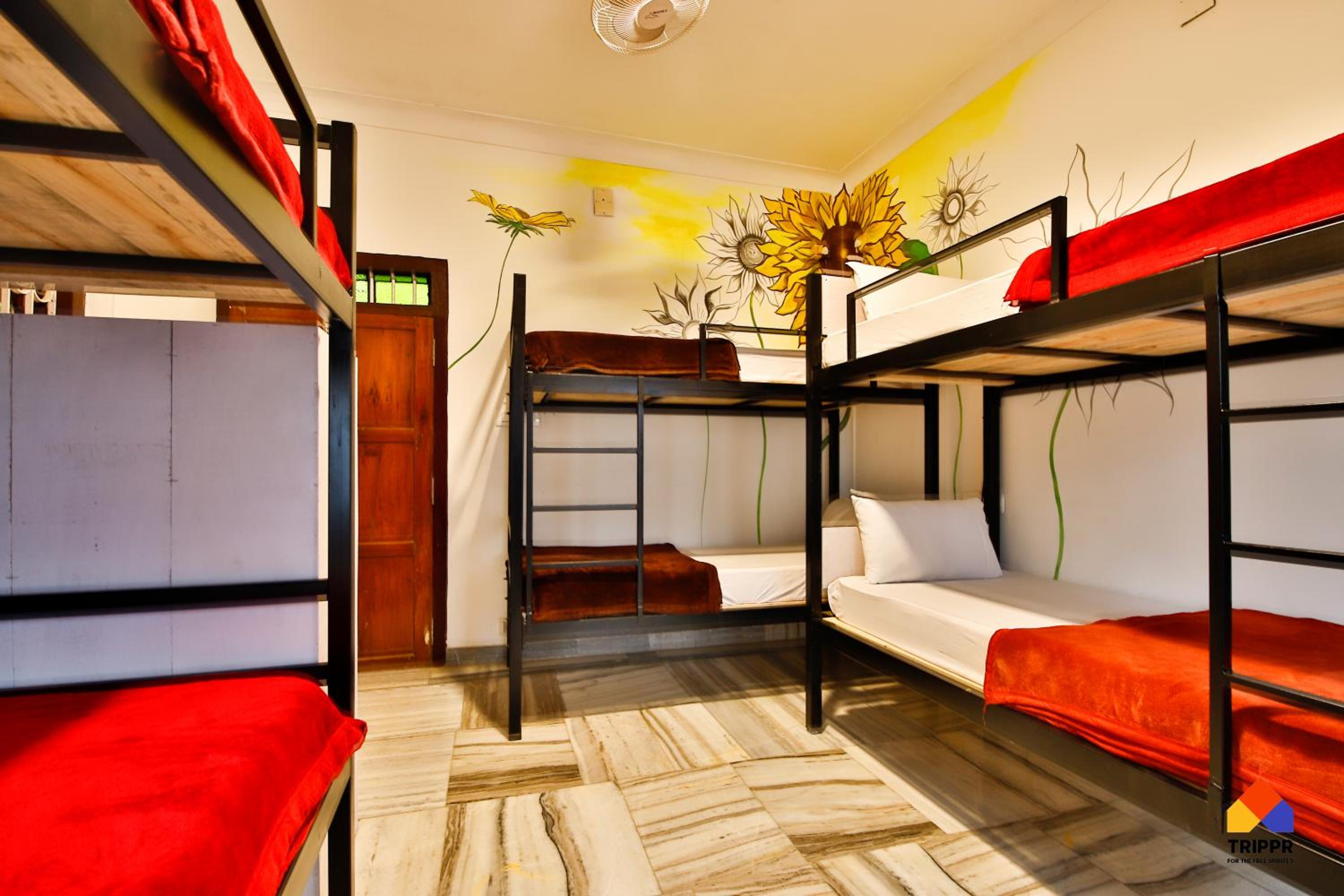 Bed In 6-Bed Mixed Dormitory Room photo 1