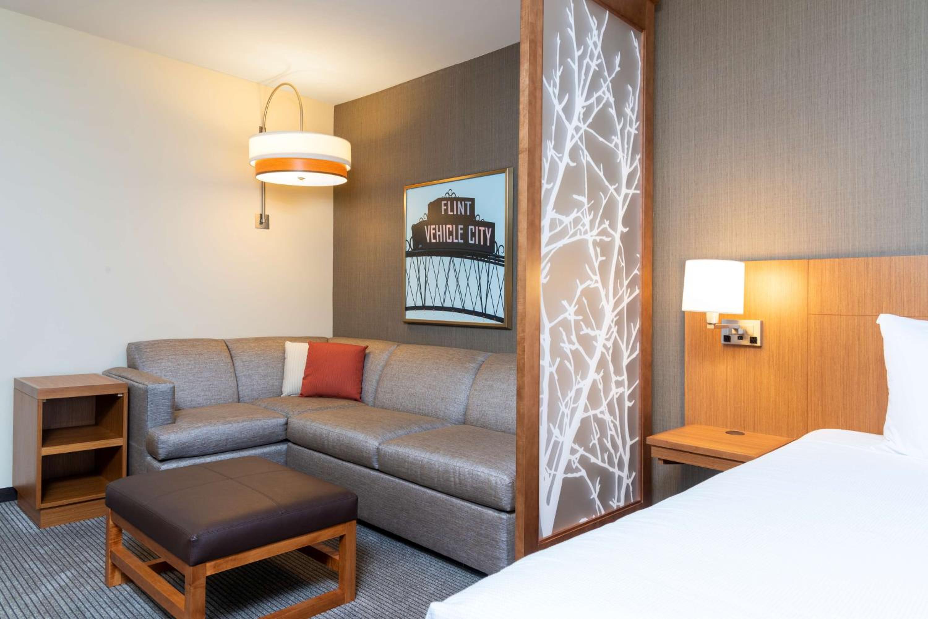 Specialty King Room with Sofa Bed - Photo 5