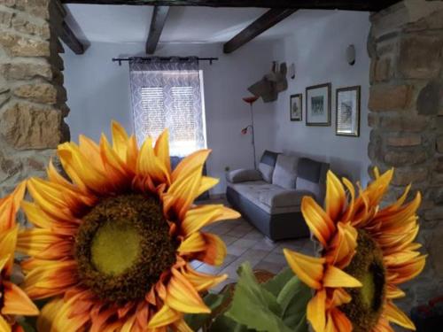 Holiday Home photo 1