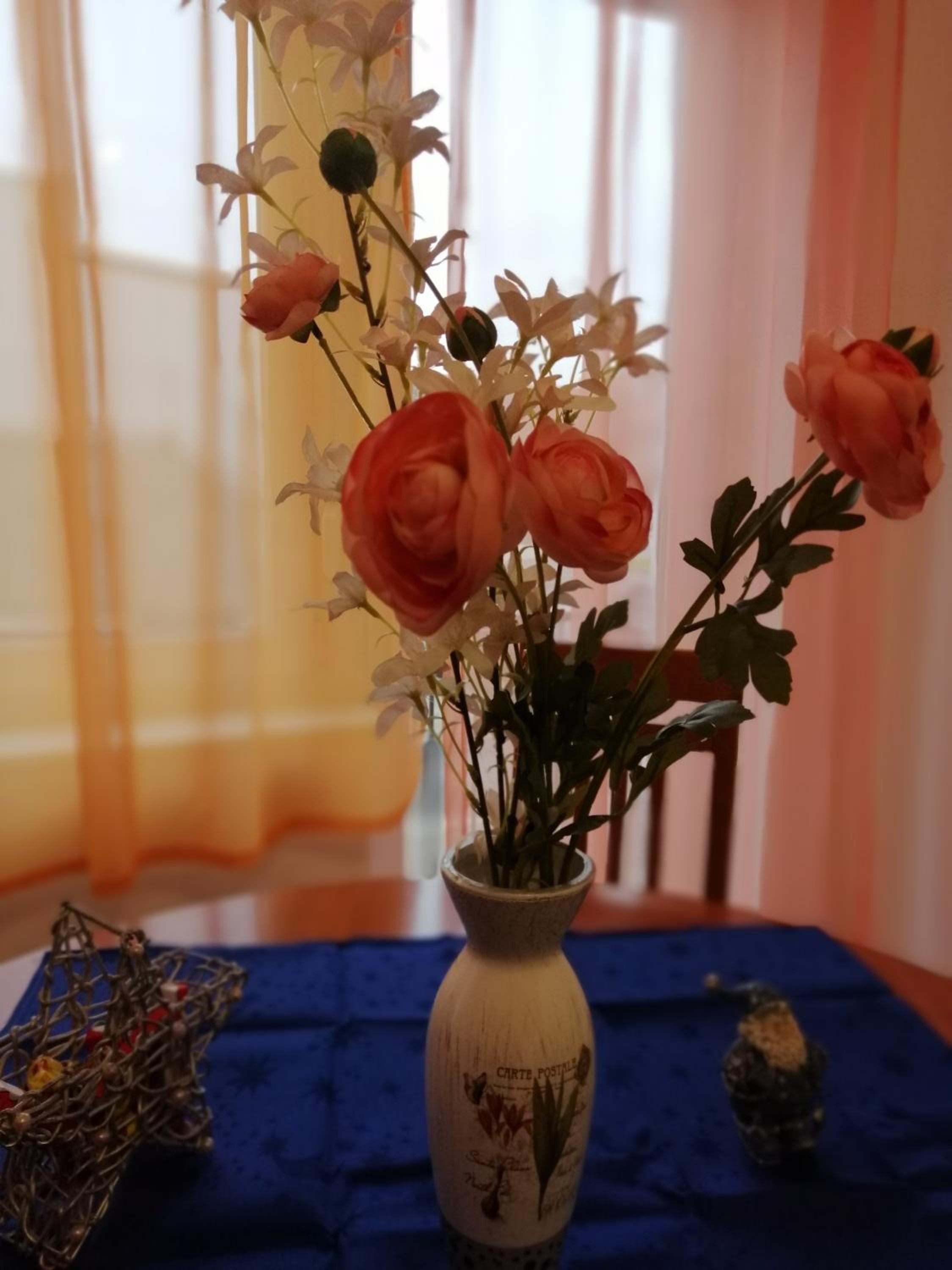 Apartment - Ground Floor - Photo 6