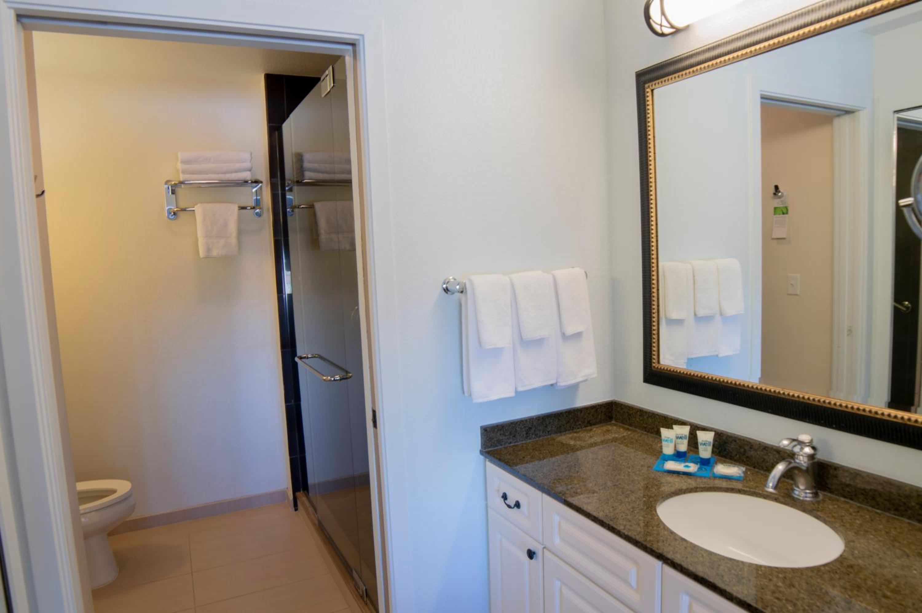 One-Bedroom King Suite with Sofa Bed - Photo 5