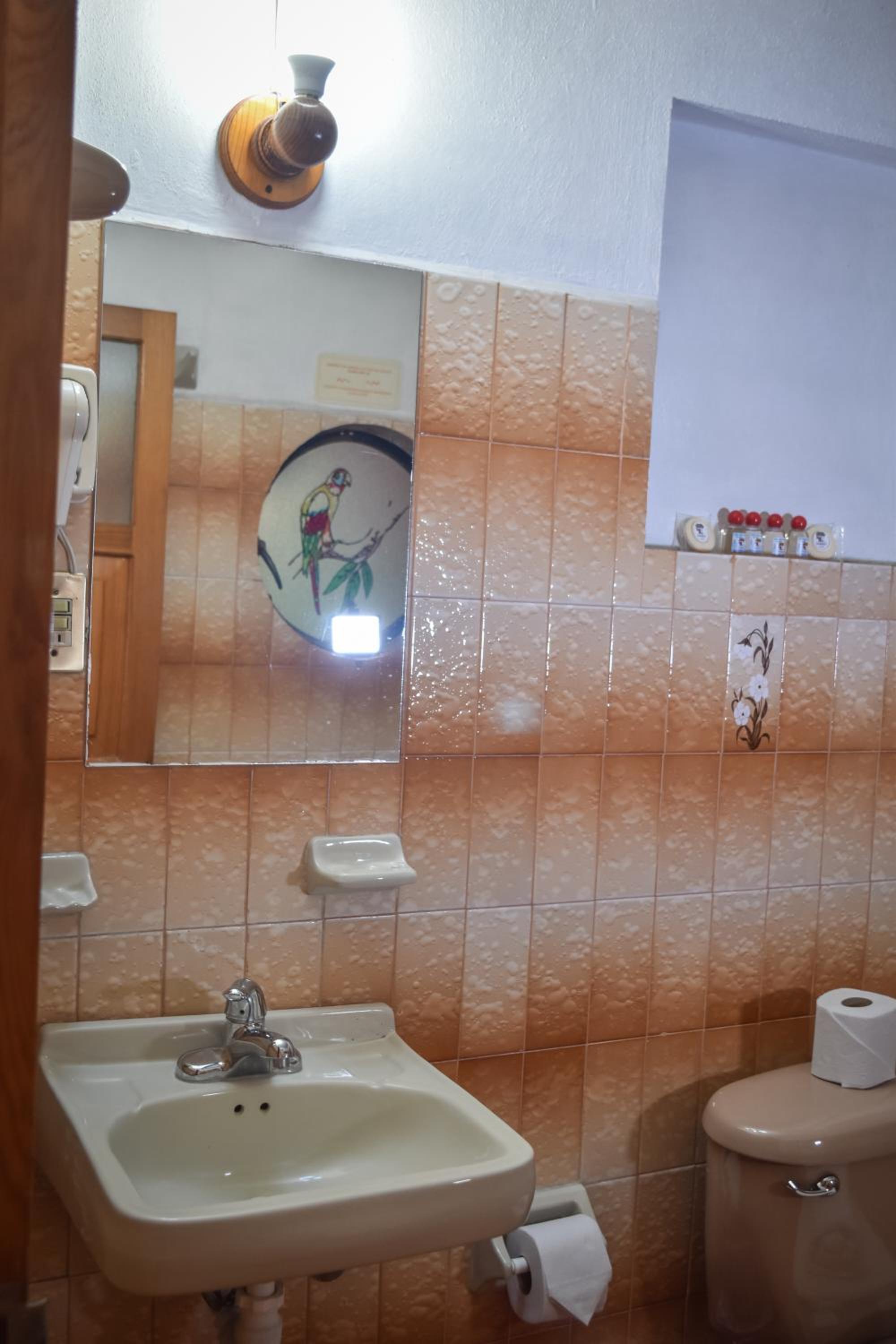 Double Room with Balcony photo 3