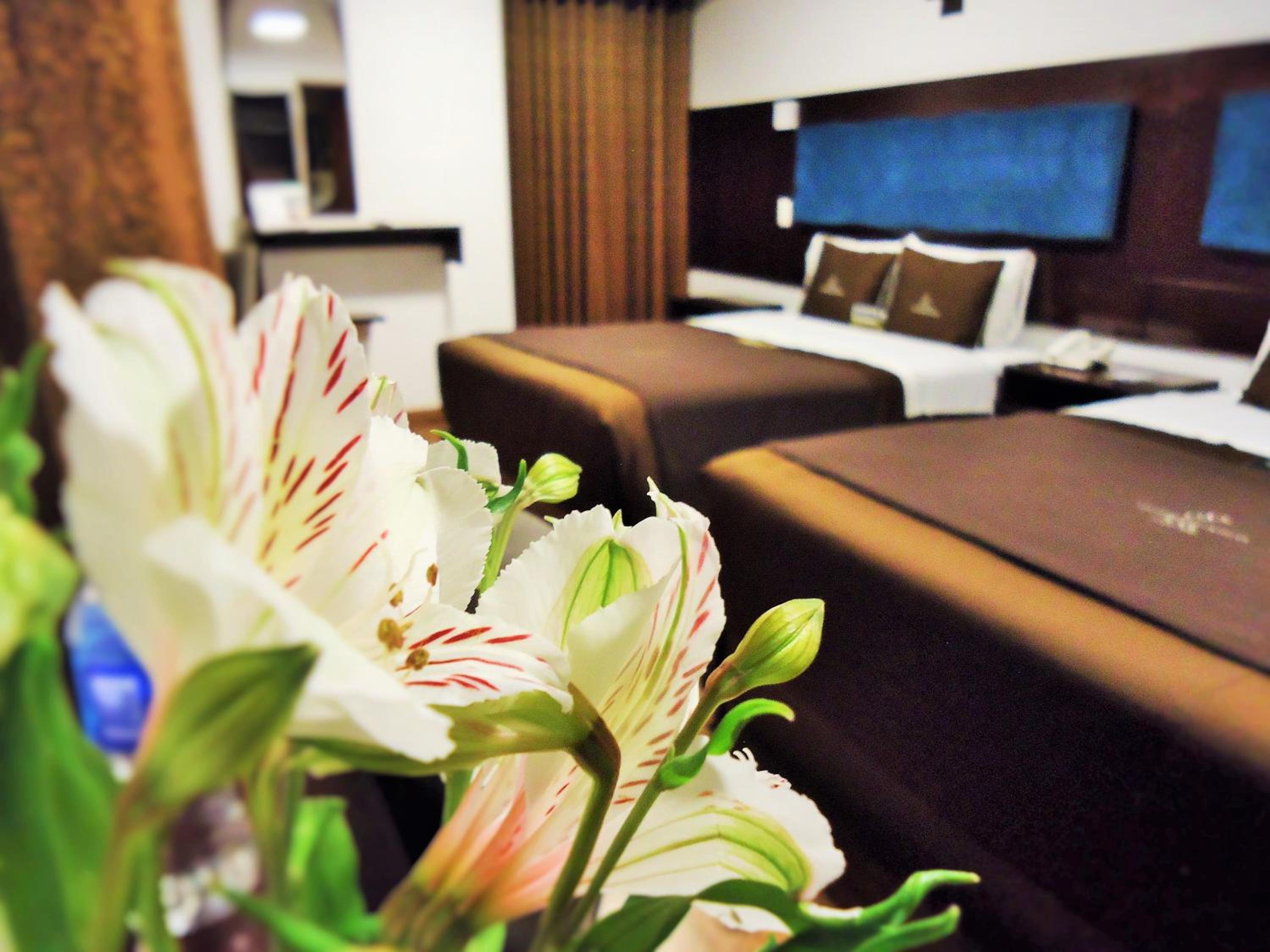 Twin Room photo 1