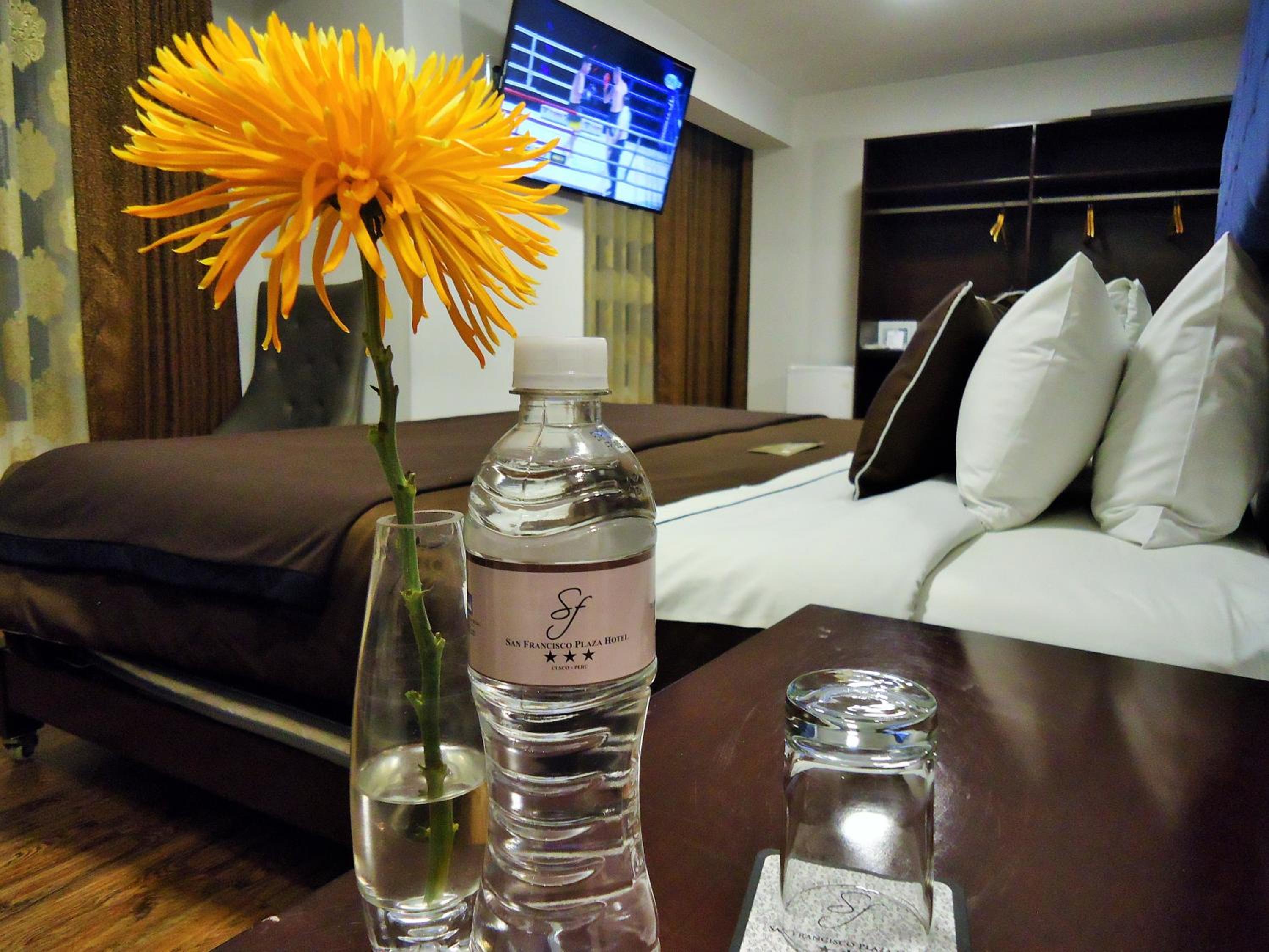 Suite photo 3