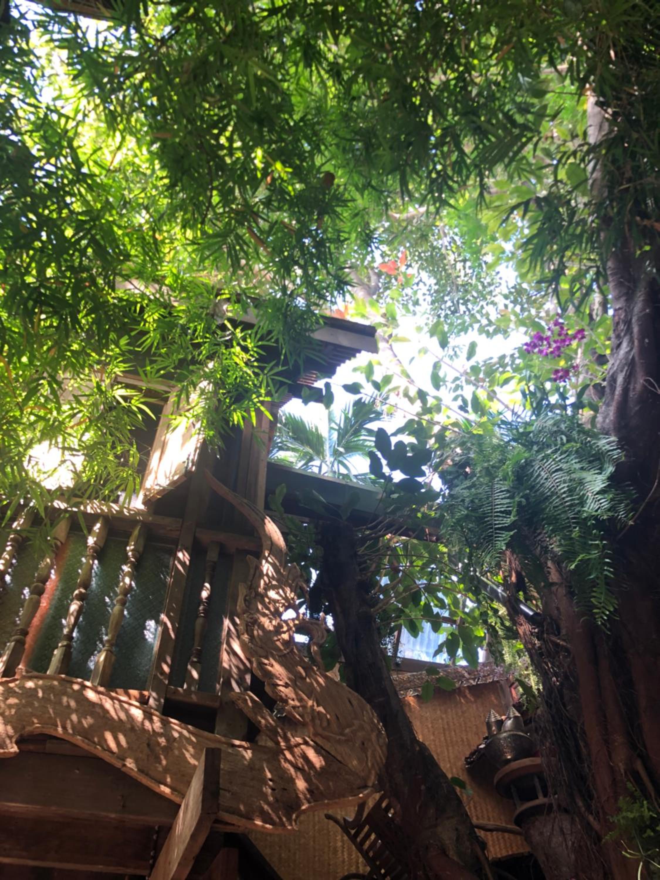 Tree House In The City Plus Lanna Herbal Steam - Photo 26