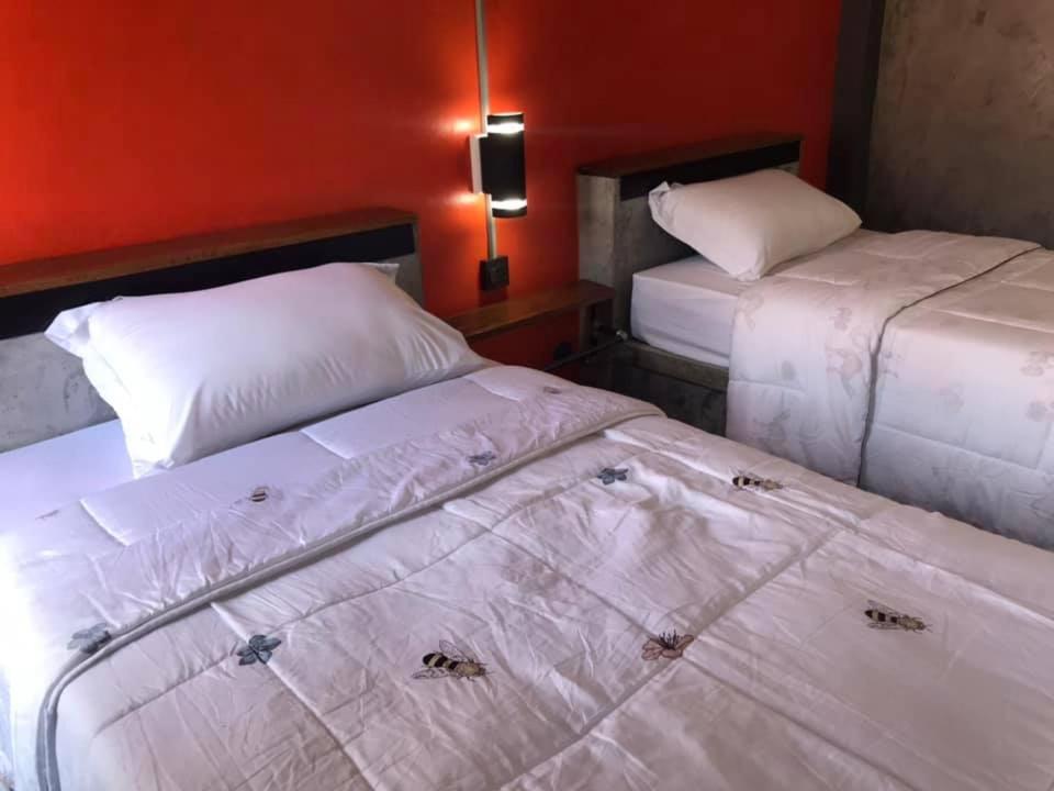 Standard Twin Room - Photo 2