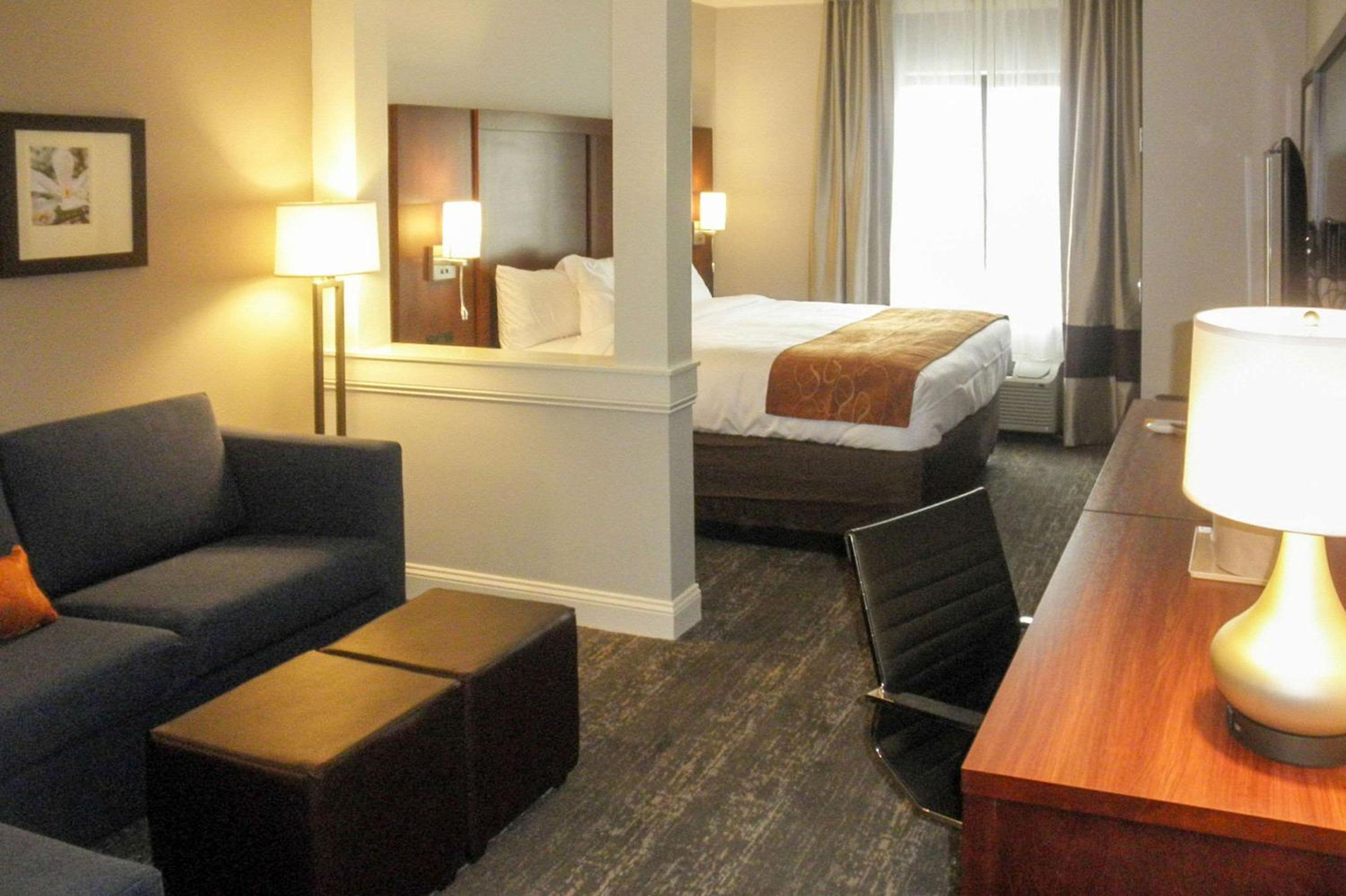 King Suite with Sofa Bed - Accessible - Photo 4