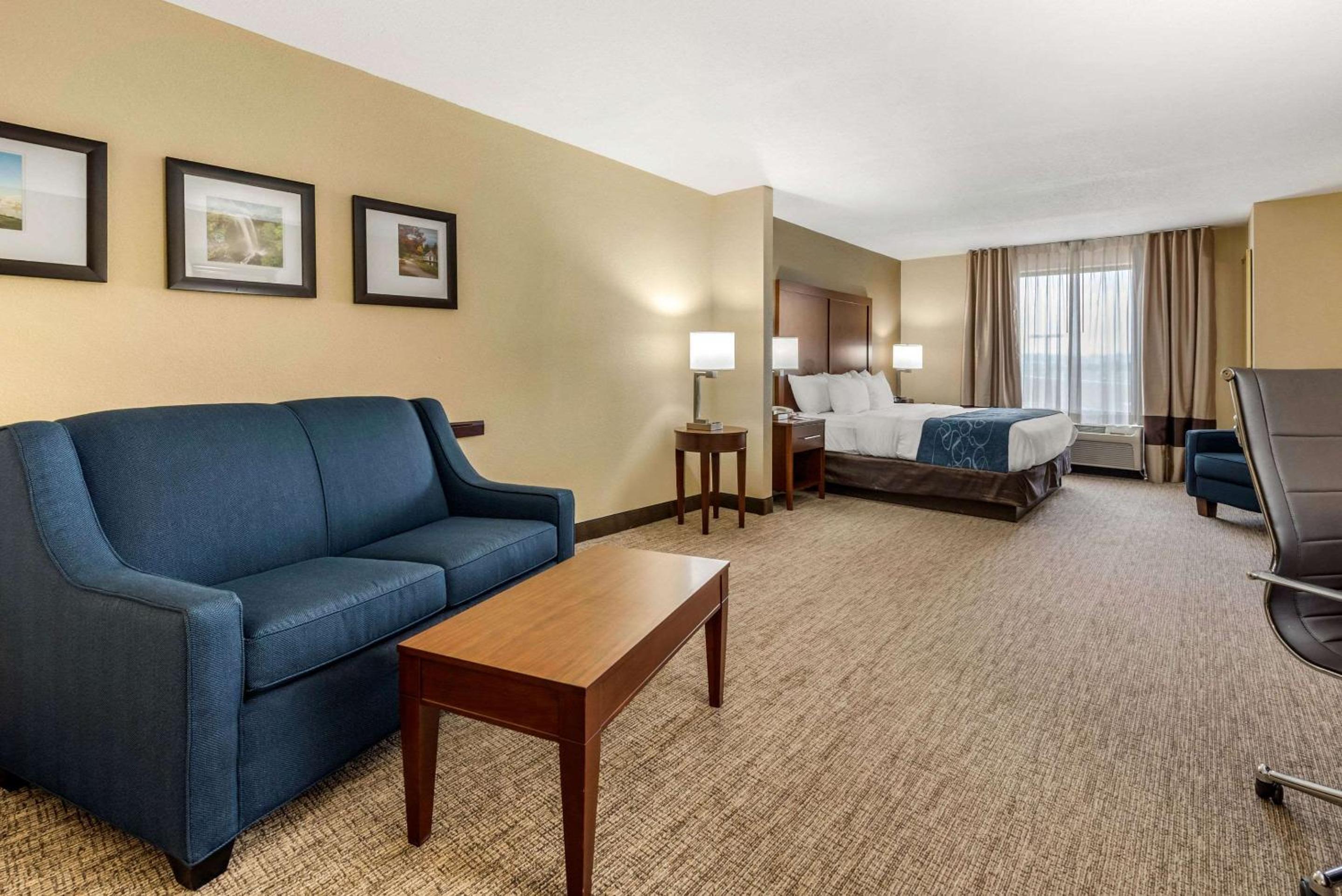King Suite with Sofa Bed - Non-Smoking - Photo 3